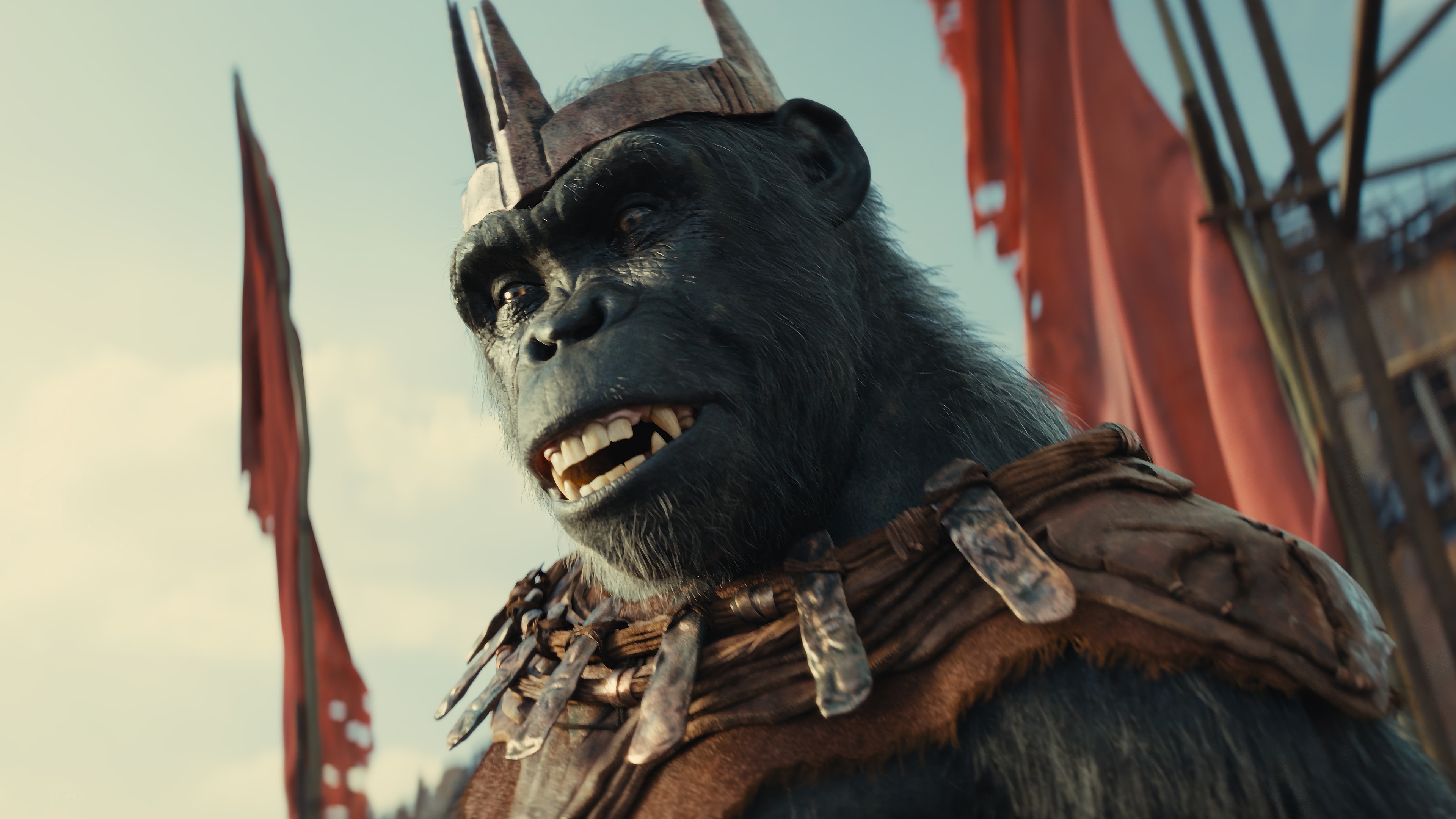 Proximus Caesar in Kingdom of the Planet of the Apes 4K HD Wallpaper
