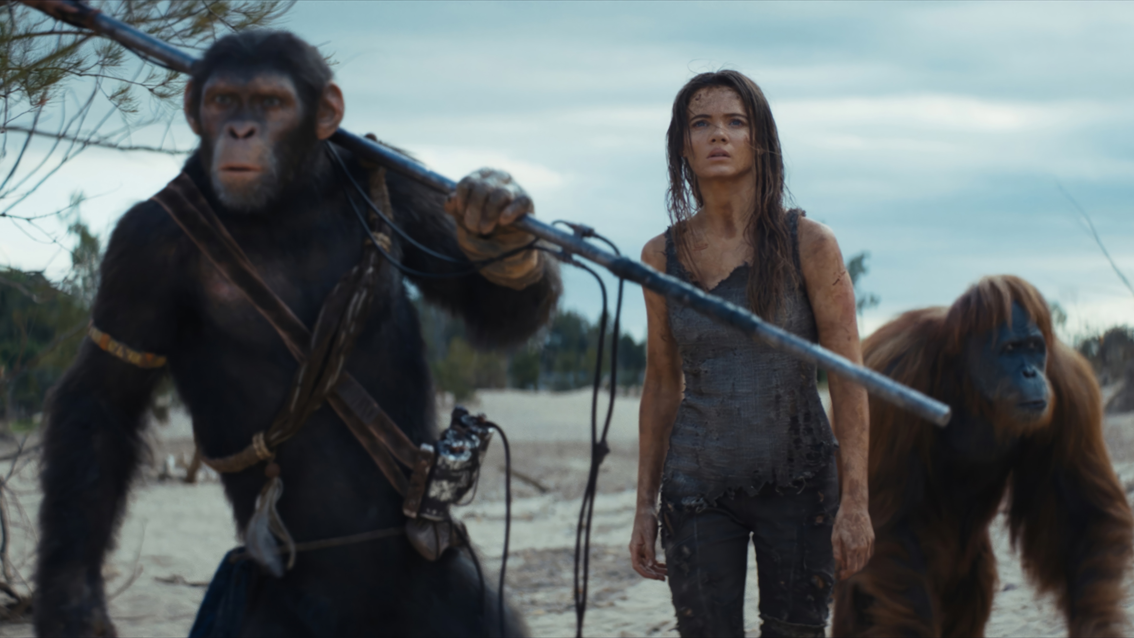 Kingdom of the Planet of the Apes 4K HD Wallpaper