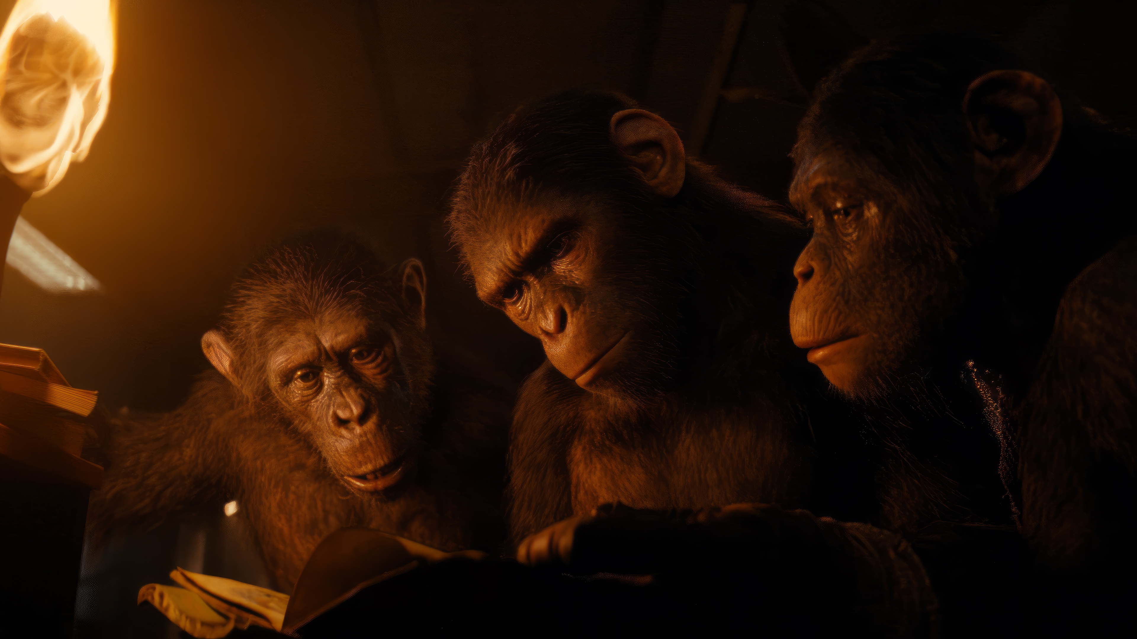 Kingdom of the Planet of the Apes 4K HD Wallpaper