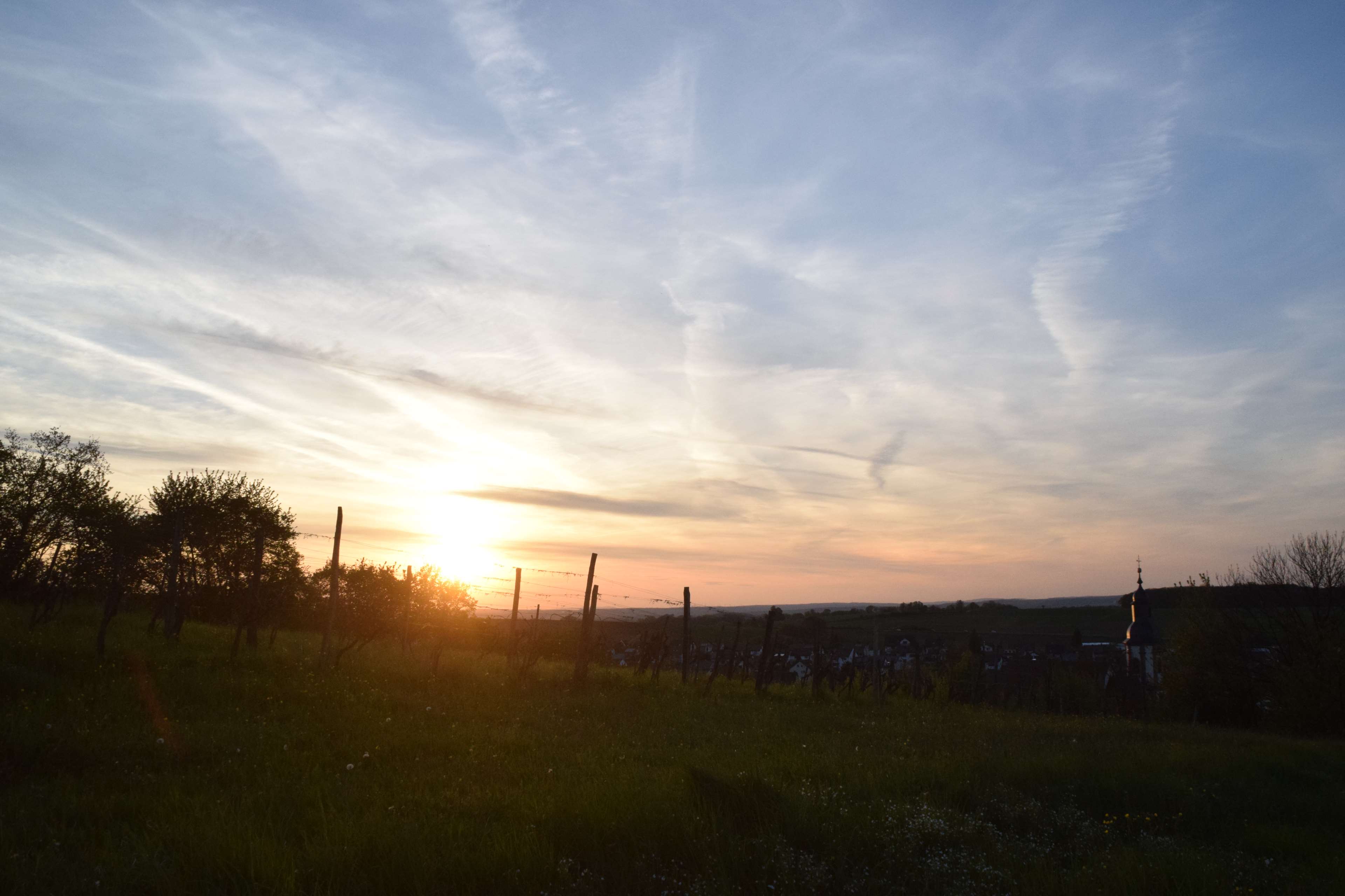 Sunset over a vineyard with a village and church HD Wallpaper