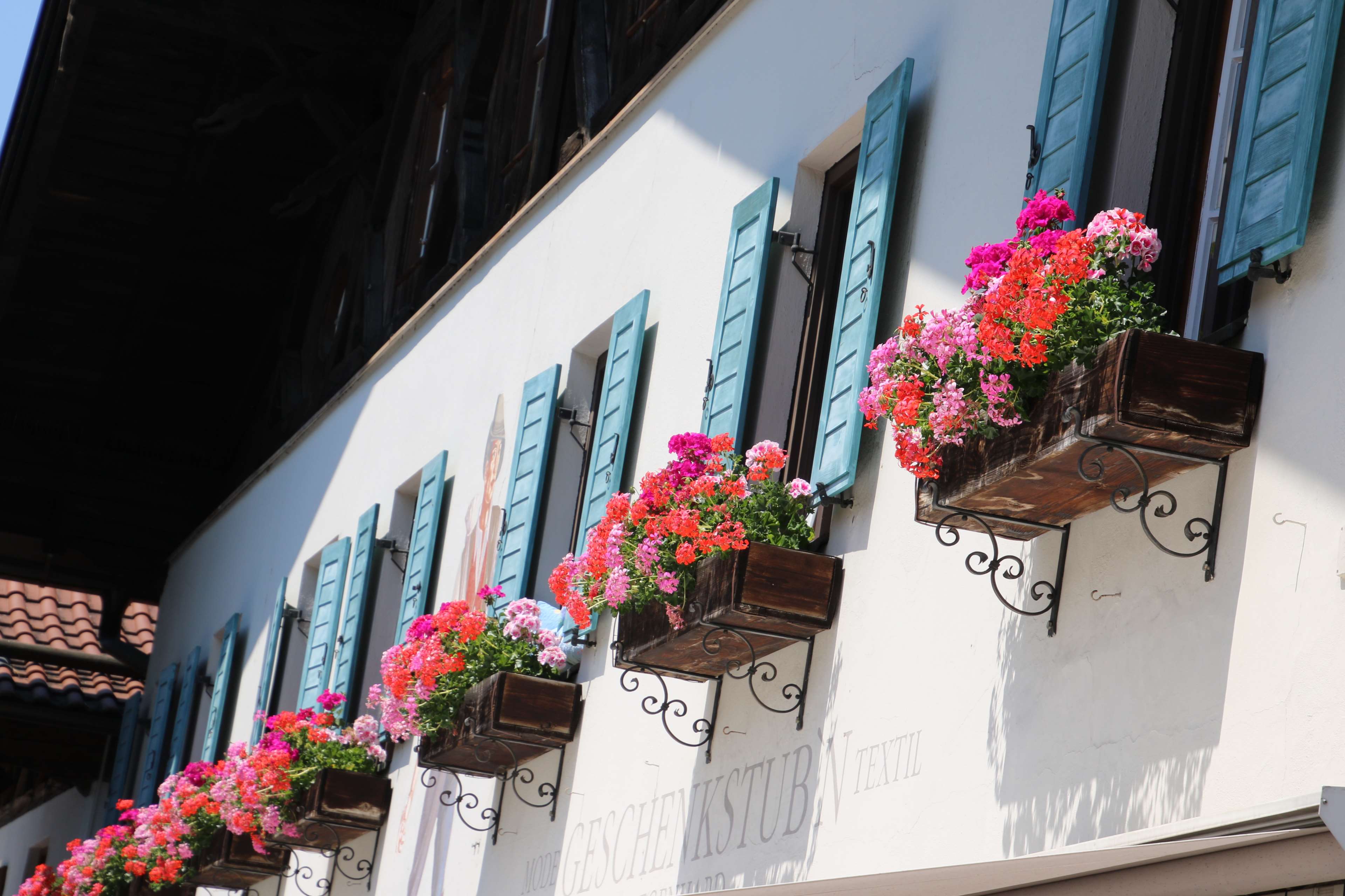 White building with blue shutters and flower boxes HD Wallpaper