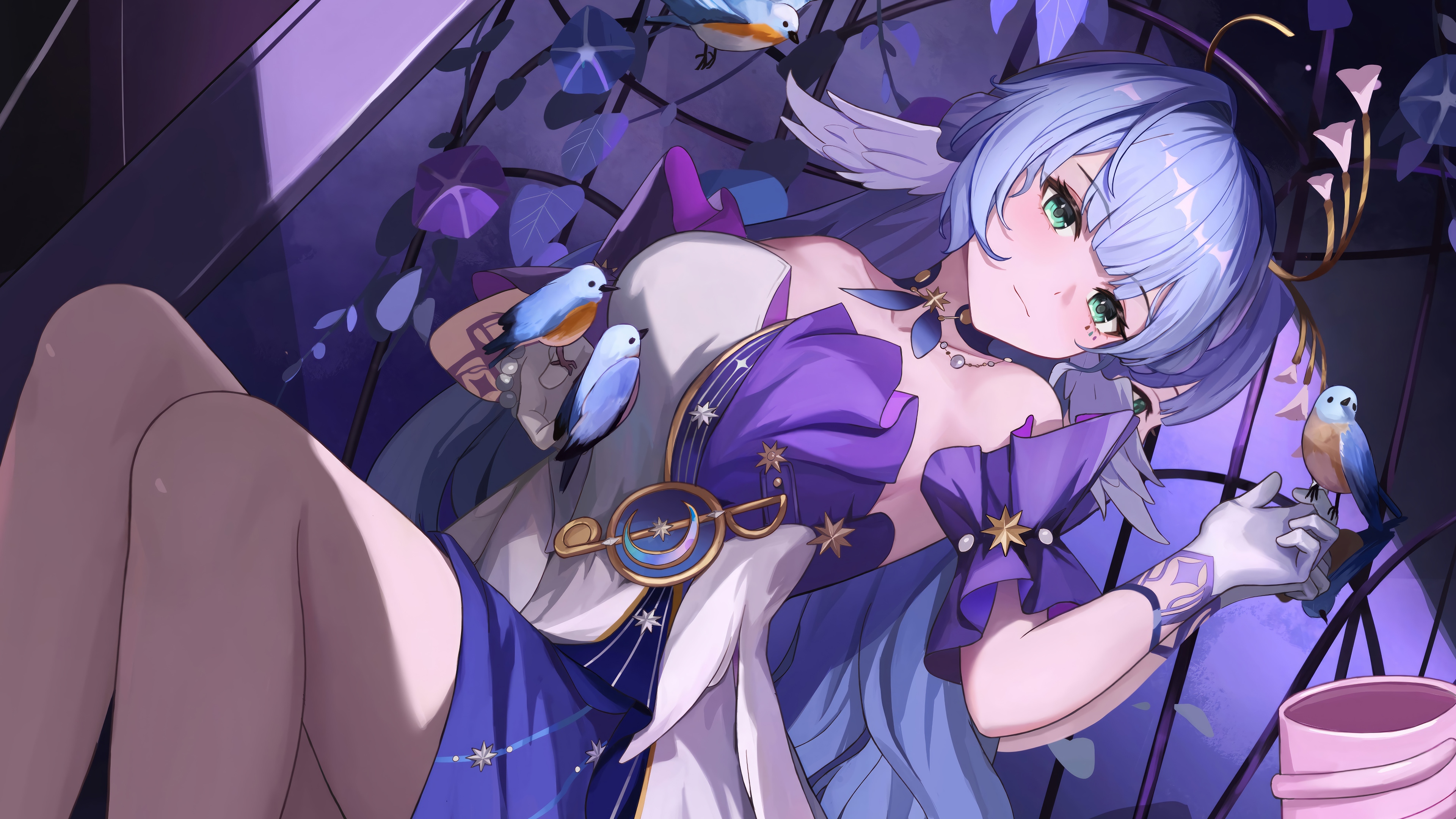 Robin from Honkai: Star Rail HD Wallpaper