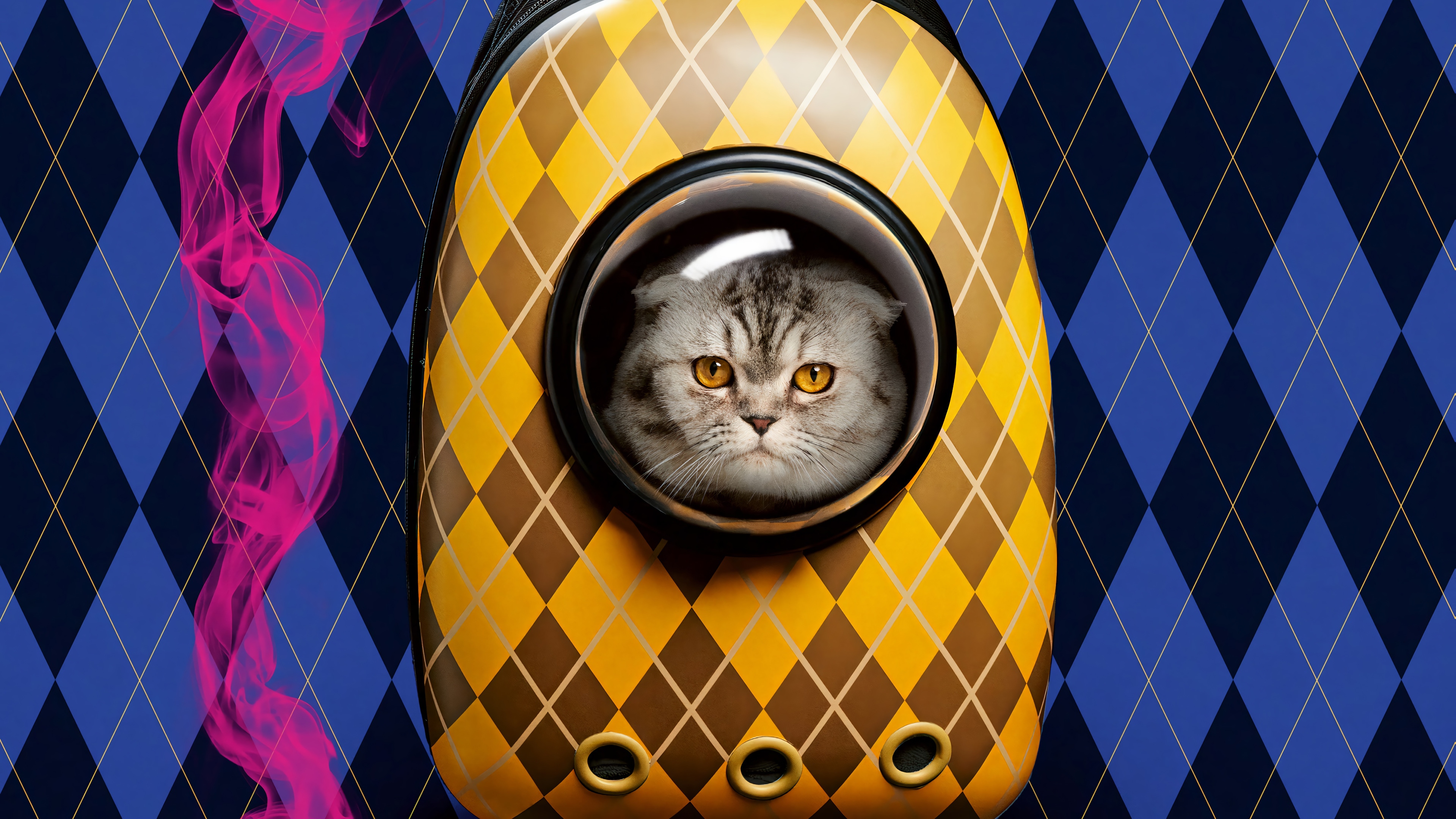 Cat in an Argyle Spaceship Carrier HD Wallpaper