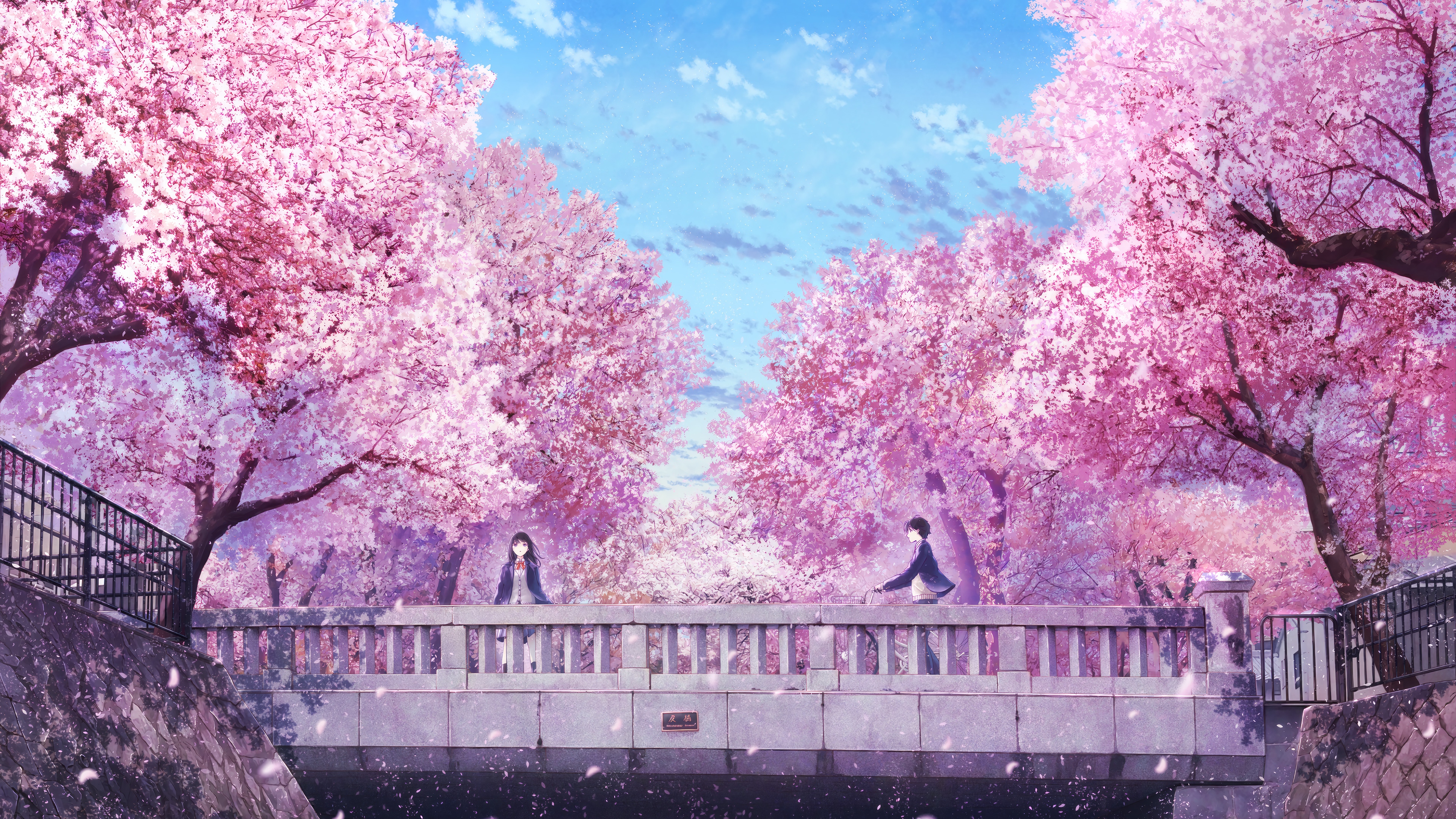 Anime Couple under Cherry Blossoms in 4K HD Wallpaper