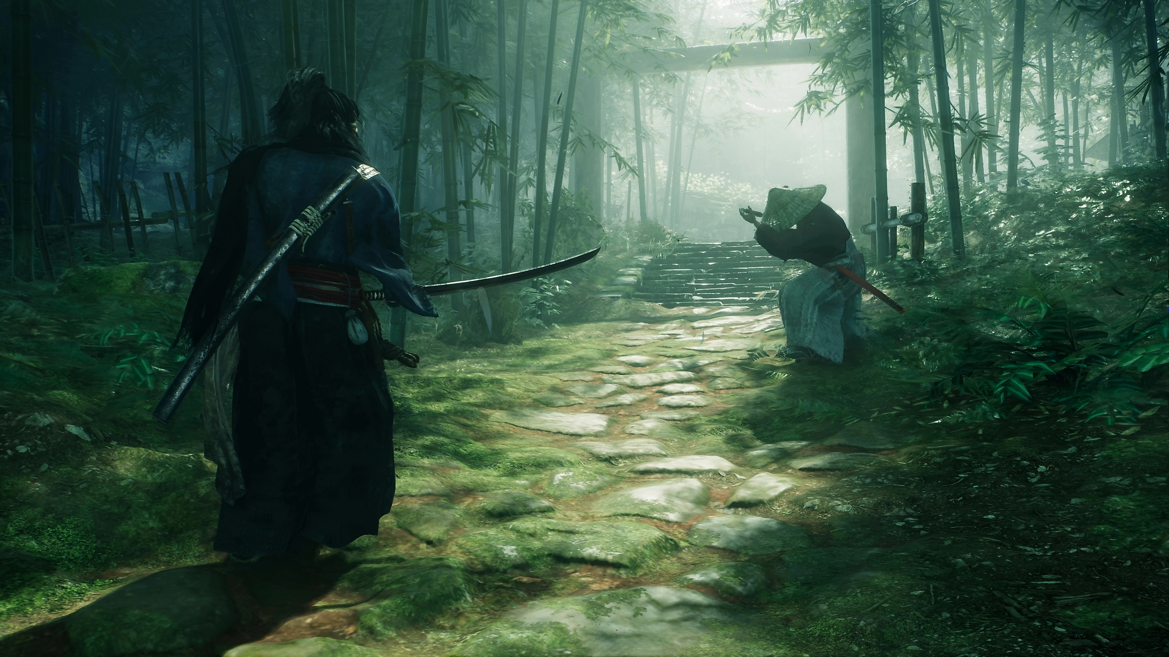 Rise of the Ronin 4K HD Wallpaper