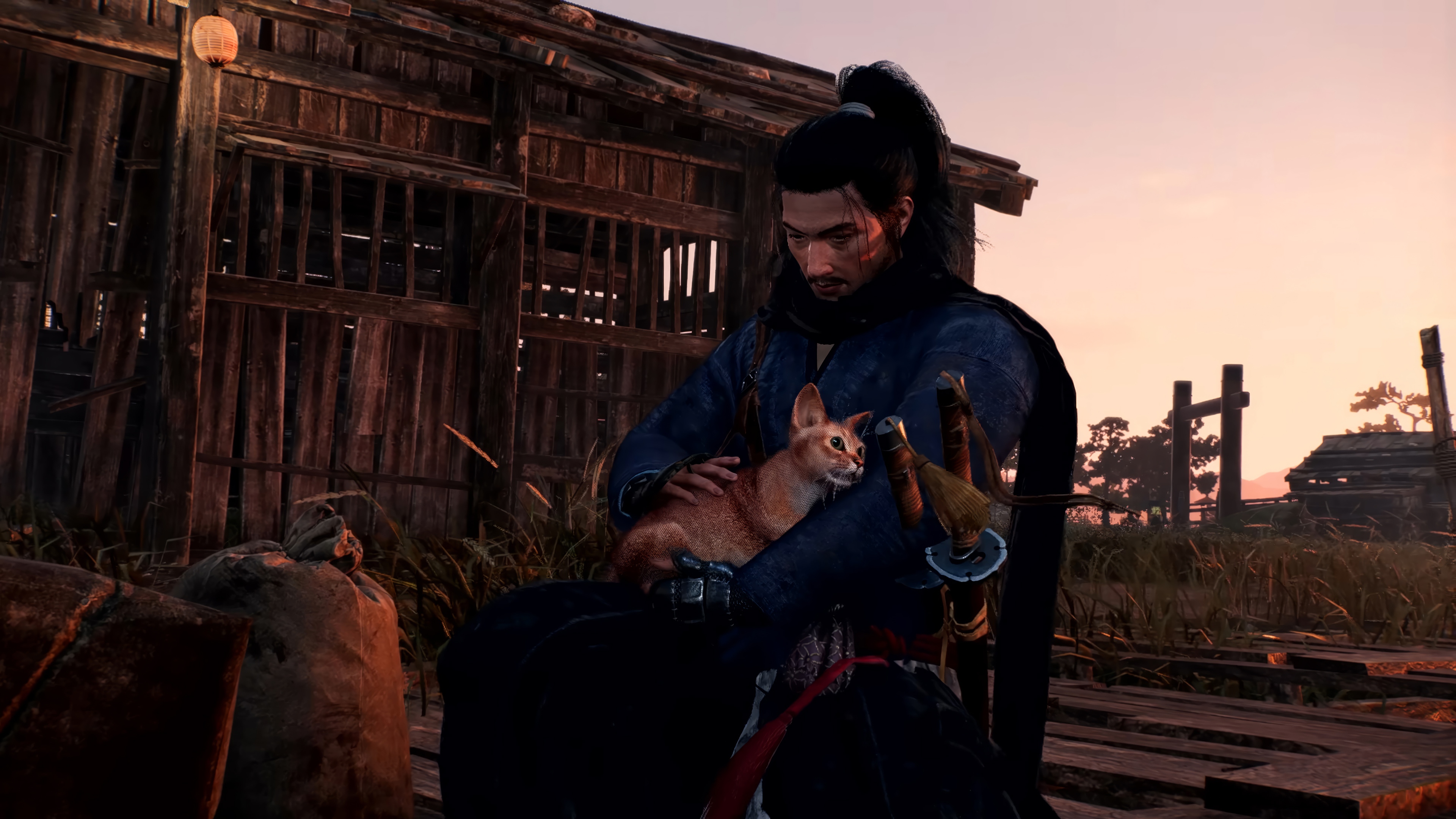 Rise of the Ronin: Man holding a cat HD Wallpaper