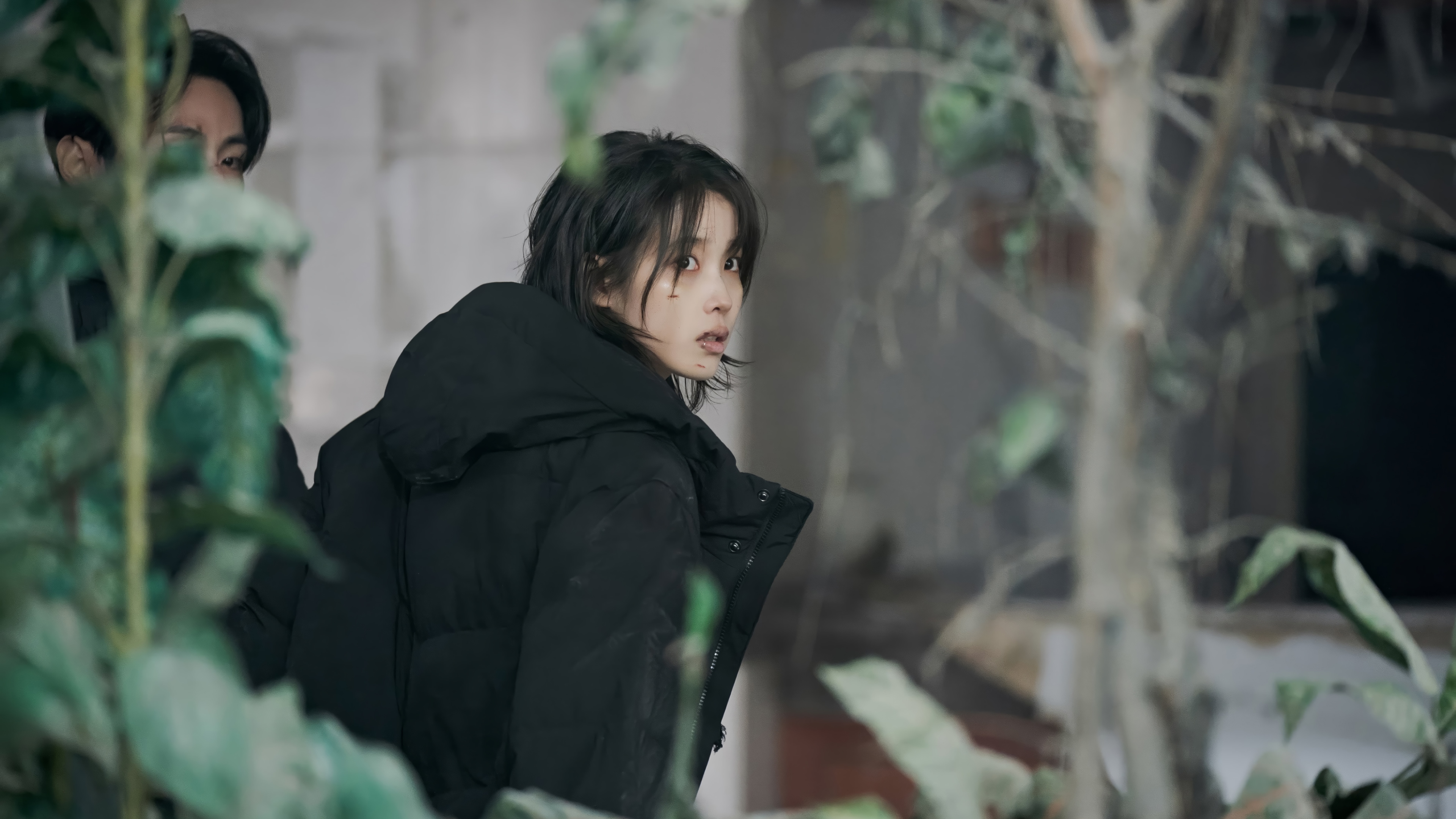 IU in a black puffer jacket HD Wallpaper
