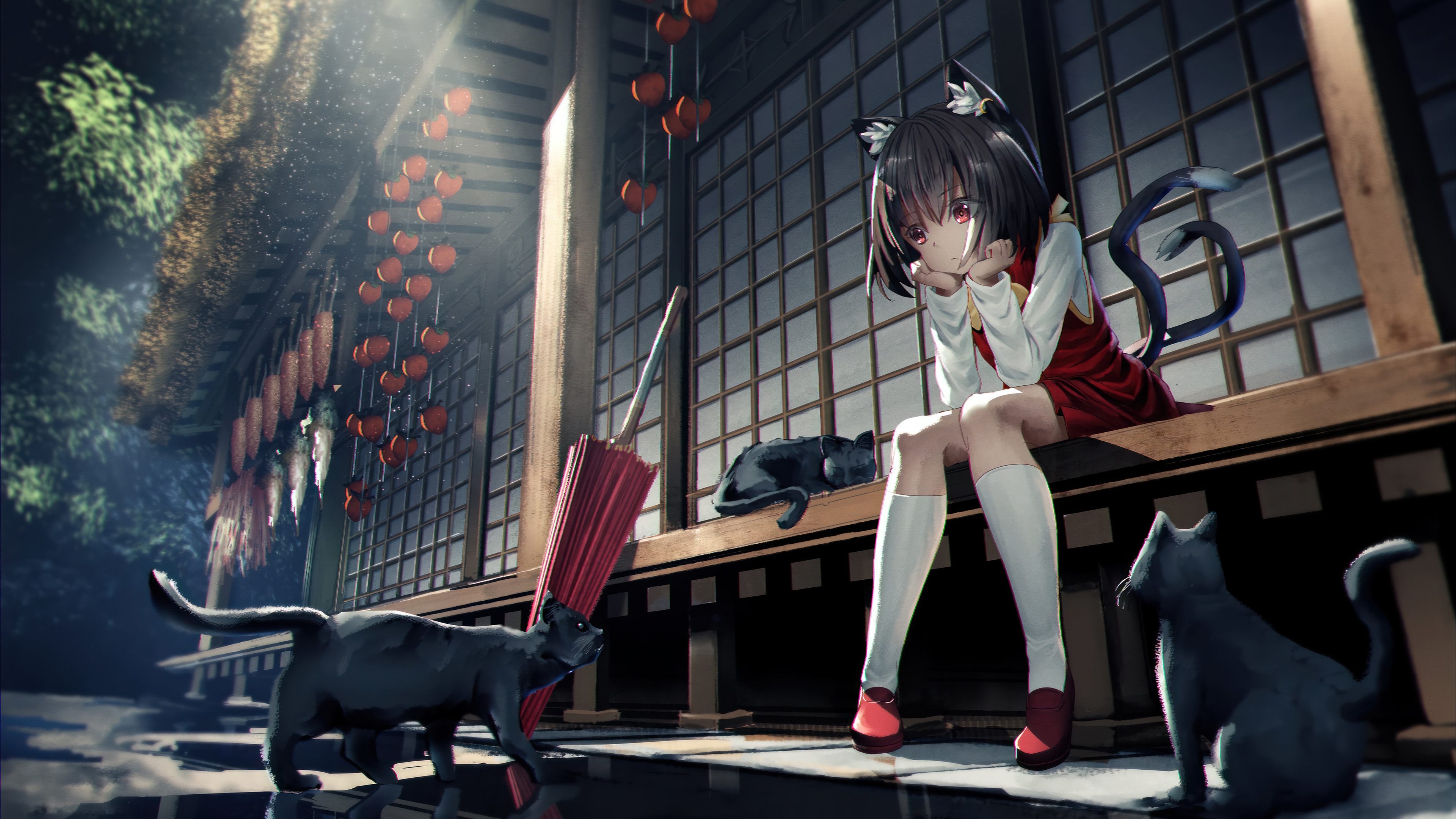 Anime Cat Girl with Cats at Japanese Shrine HD Wallpaper