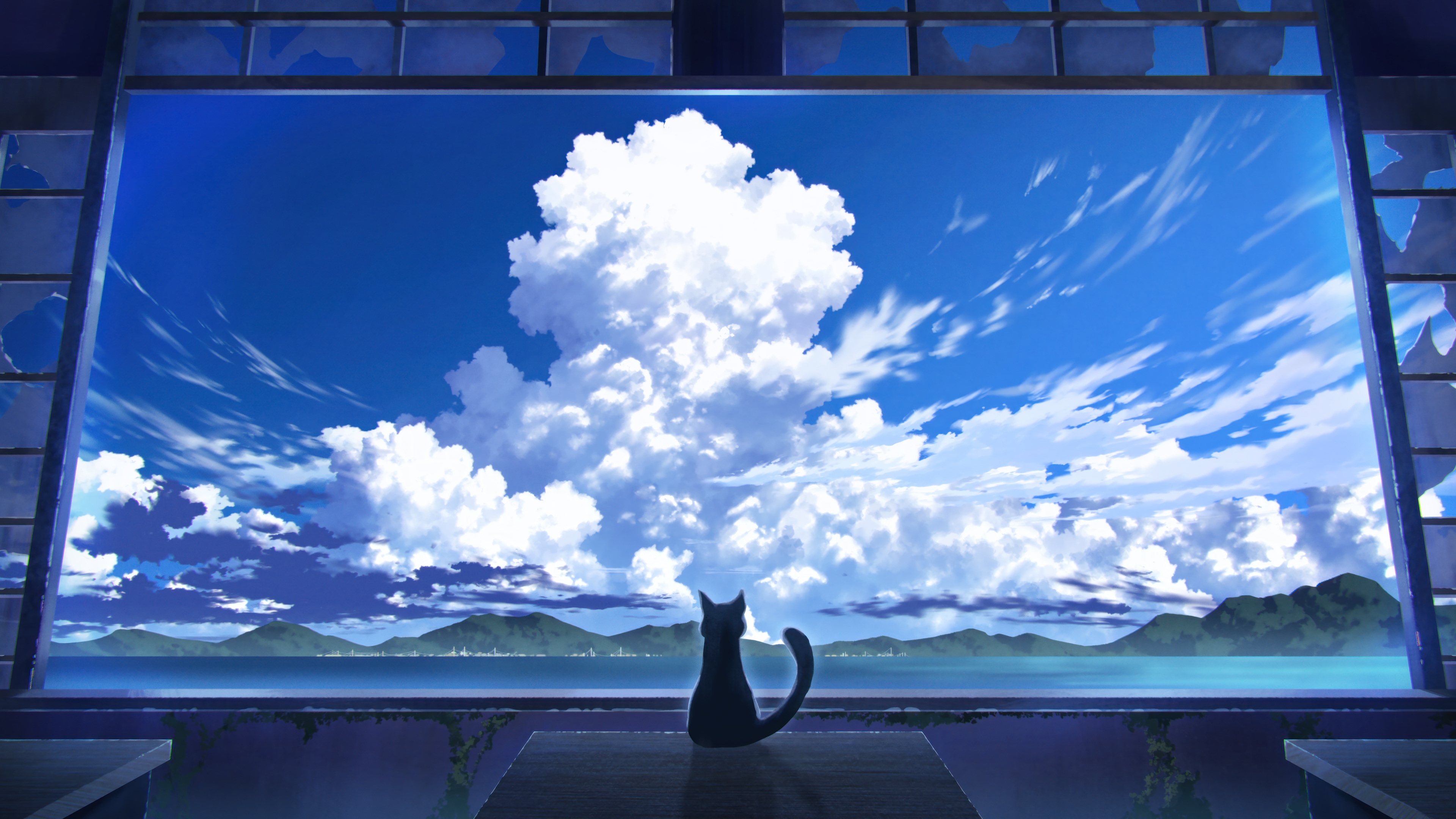 Black Cat Looking at Clouds and Islands 4K HD Wallpaper