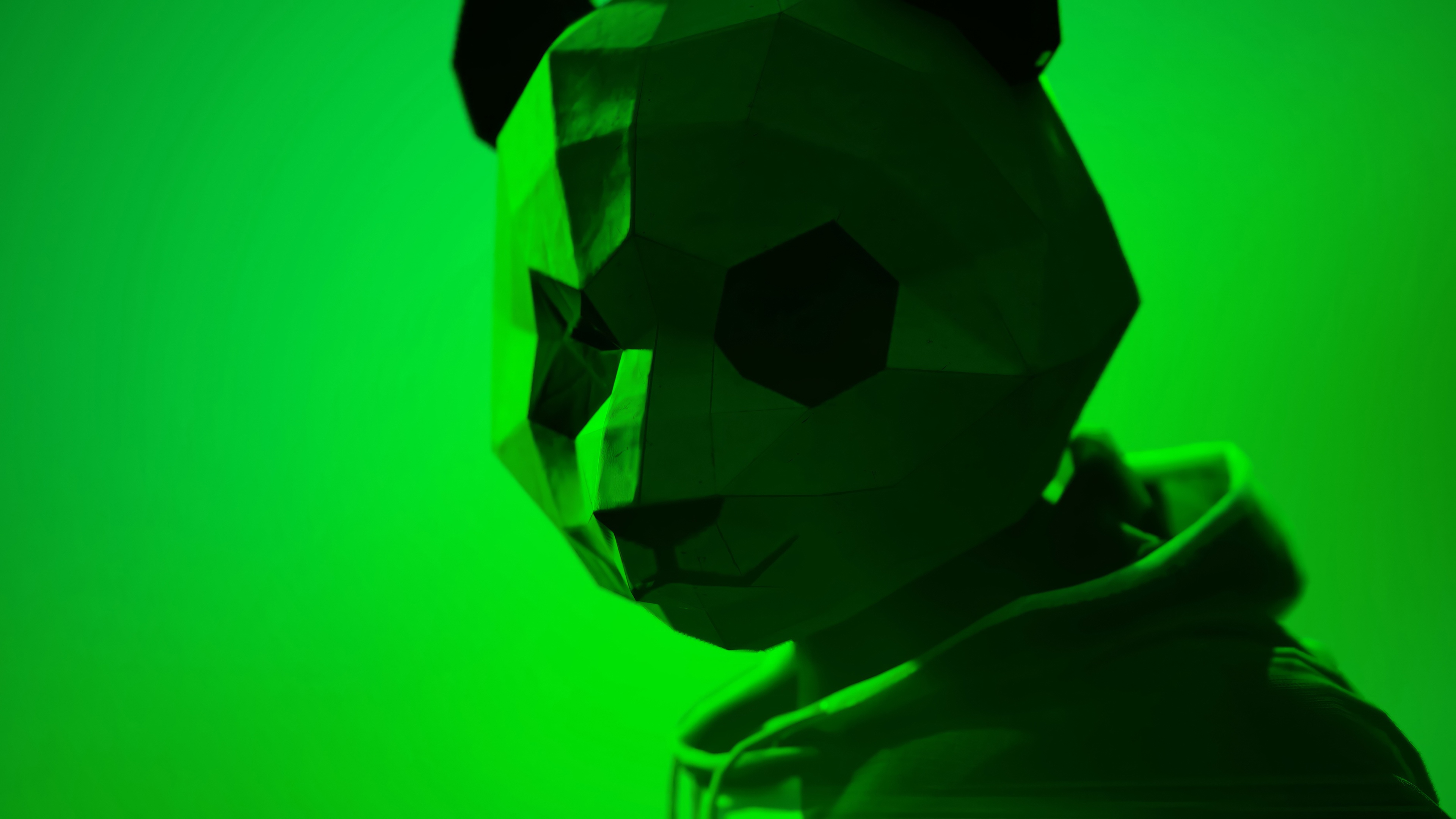 Panda mask in green light HD Wallpaper