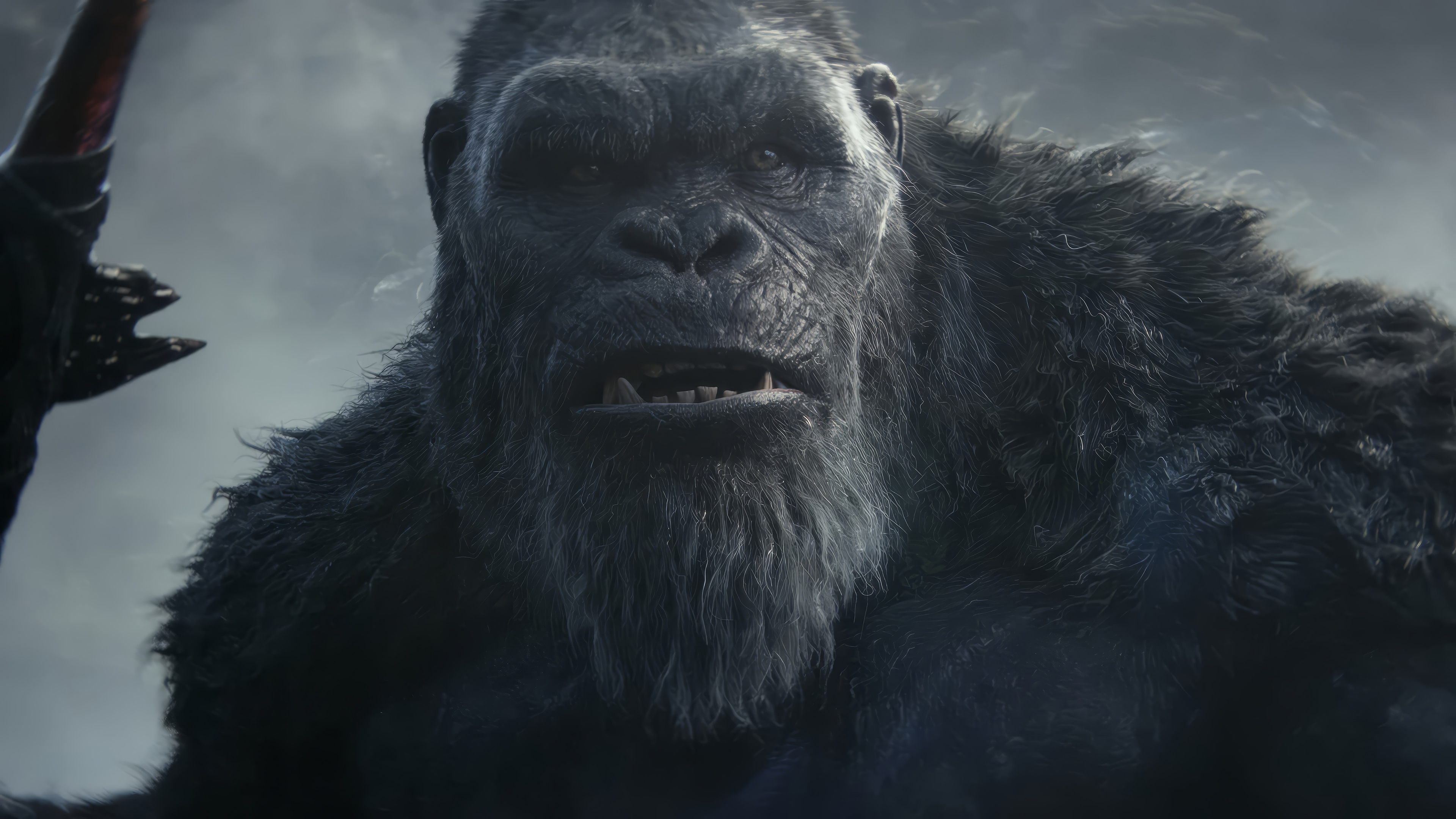 King Kong in Godzilla x Kong: The New Empire 4K HD Wallpaper