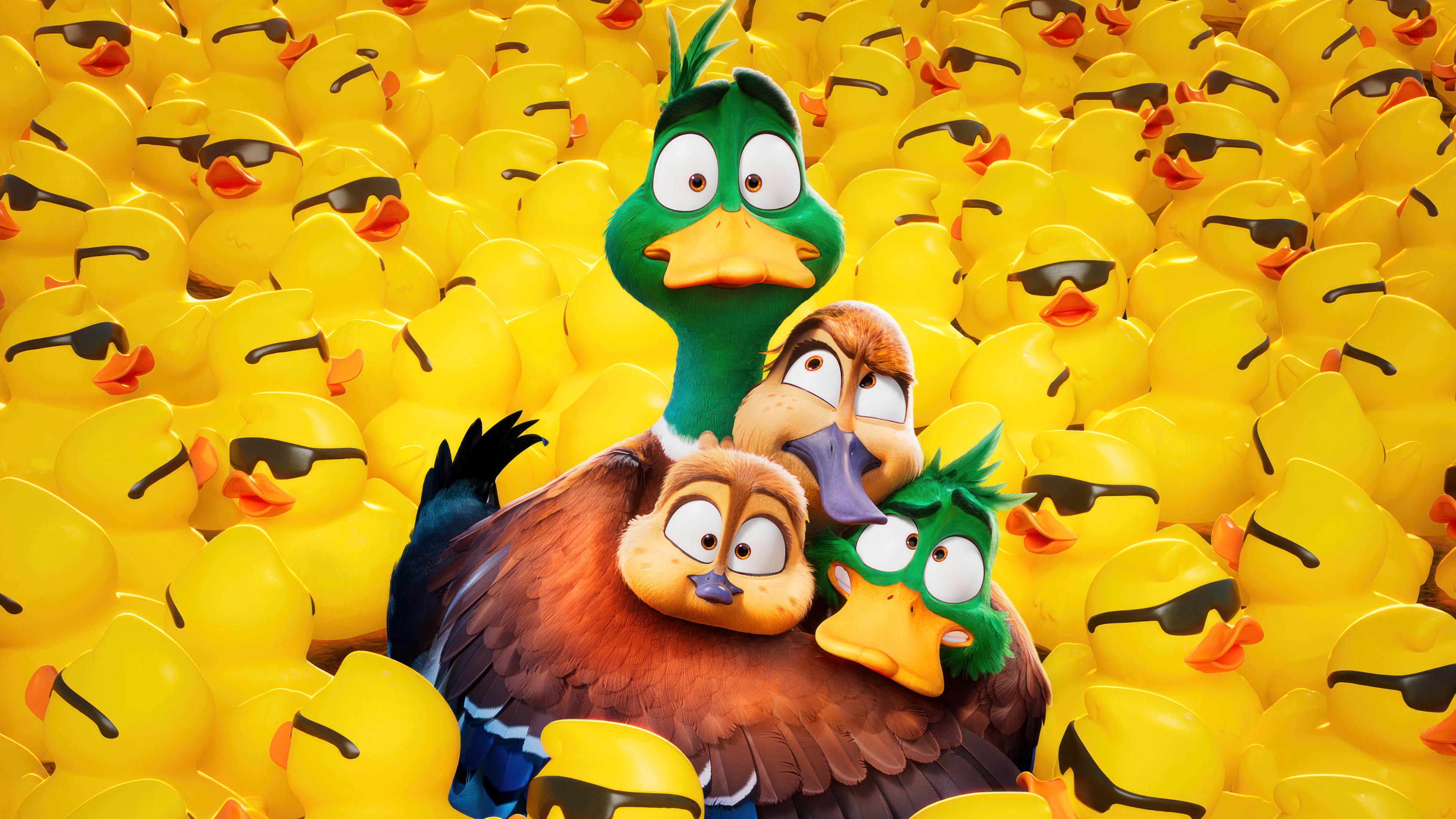 Migration 4K HD Wallpaper