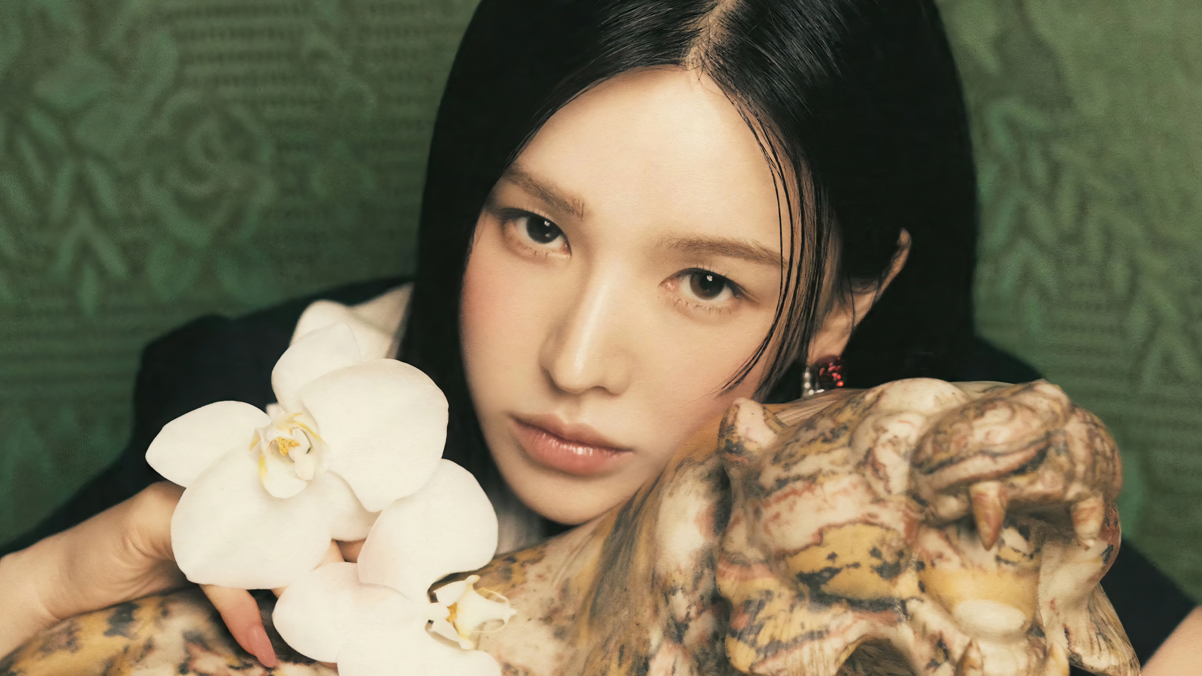 Wendy from Red Velvet with a white orchid HD Wallpaper