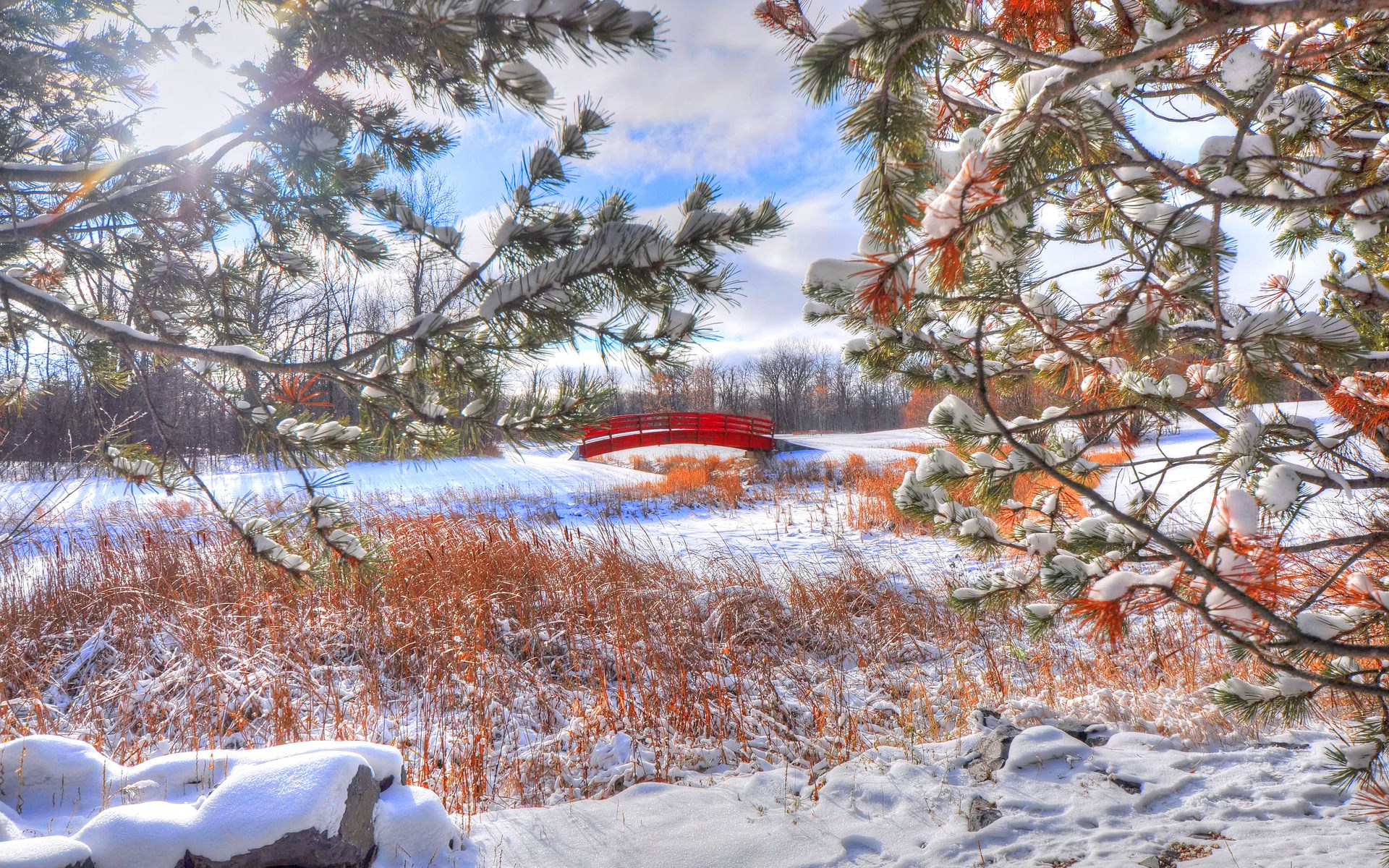 Red bridge over snow-covered field with pine trees HD Wallpaper