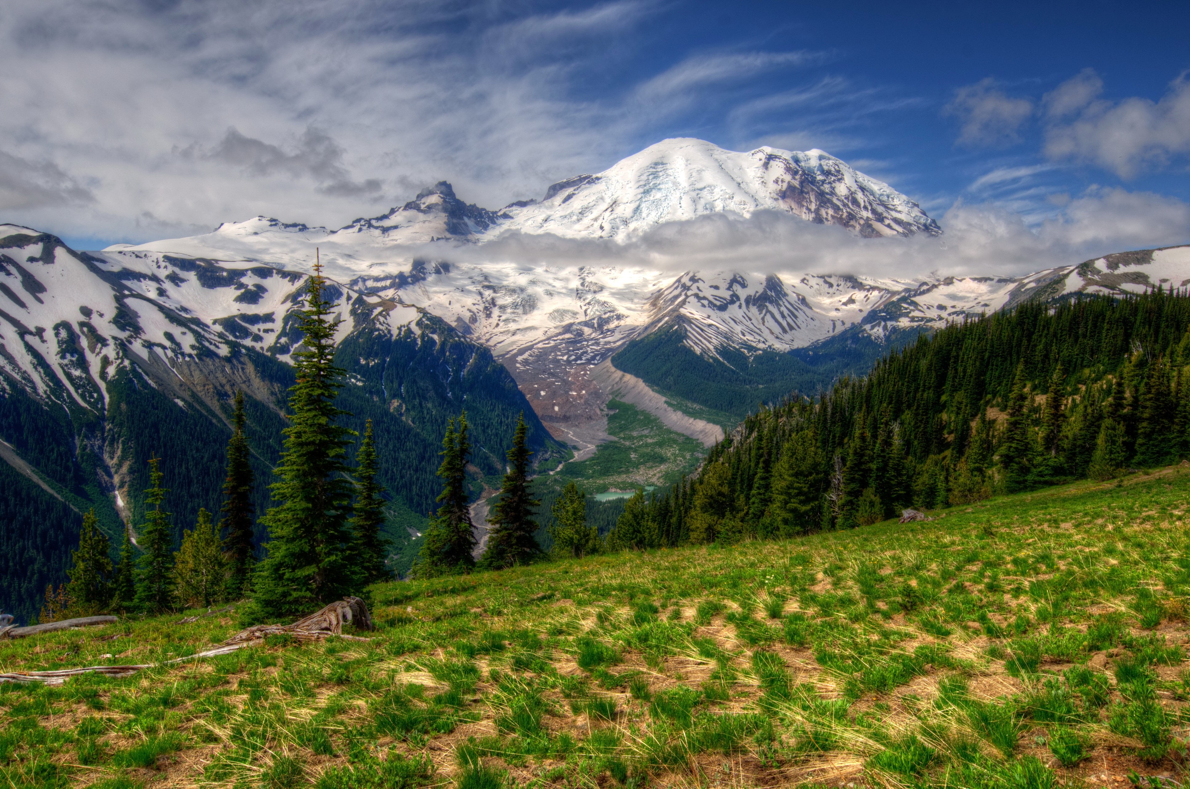 Mount Rainier National Park Landscape with Snow-Capped Mountains and Forest HD Wallpaper