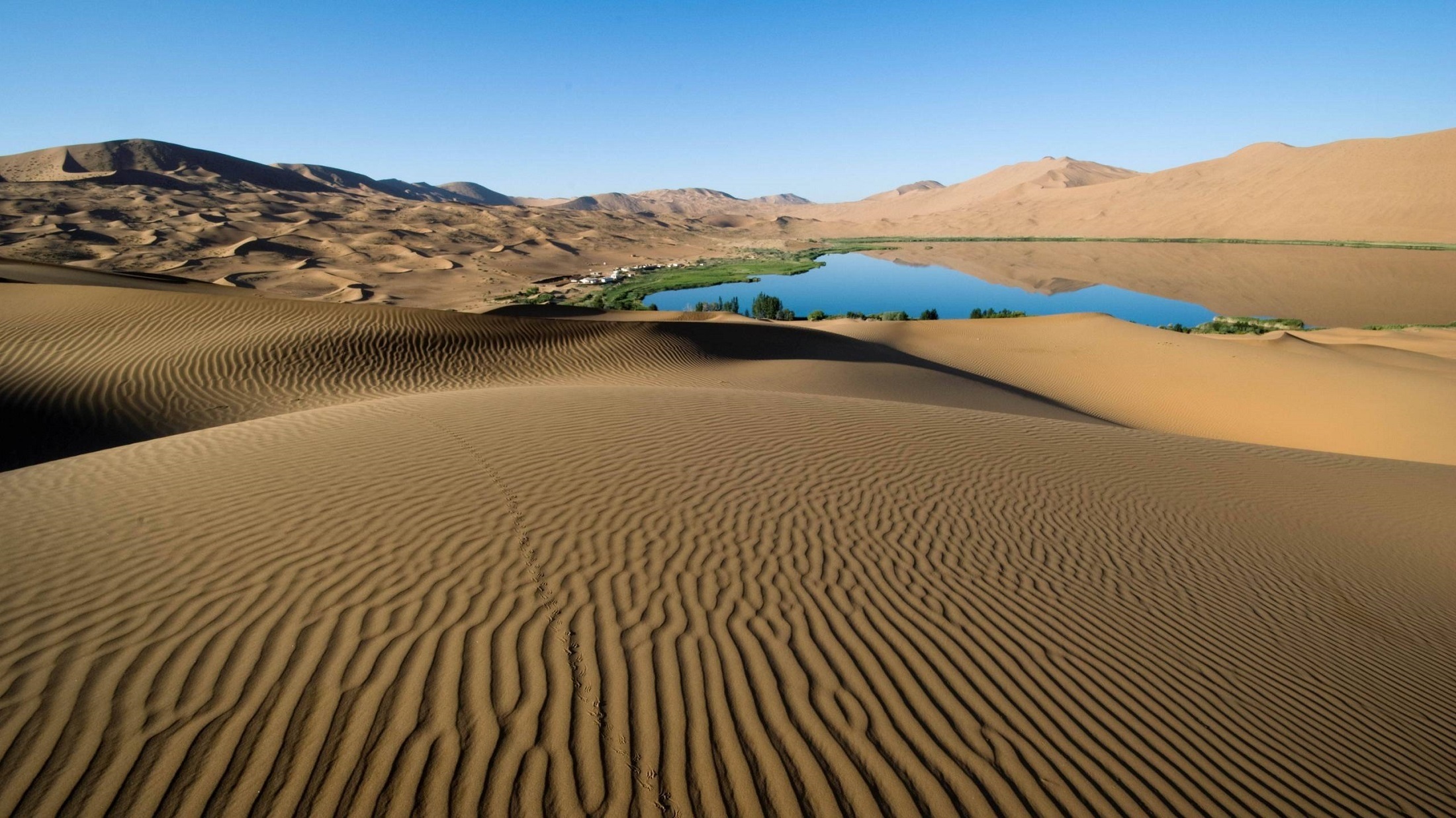 Desert dunes and oasis lake HD Wallpaper