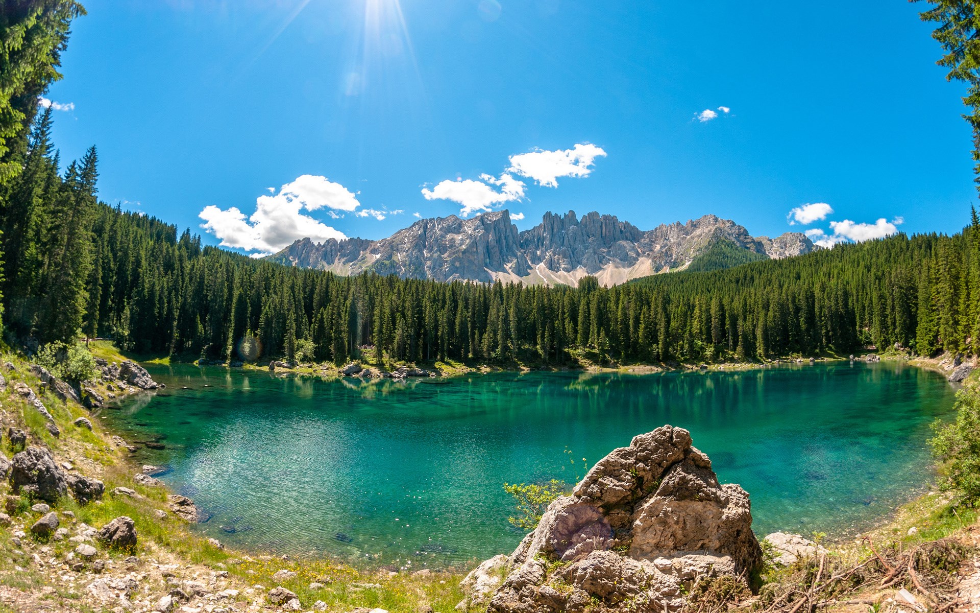 Turquoise mountain lake surrounded by pine forest and rocky peaks HD Wallpaper