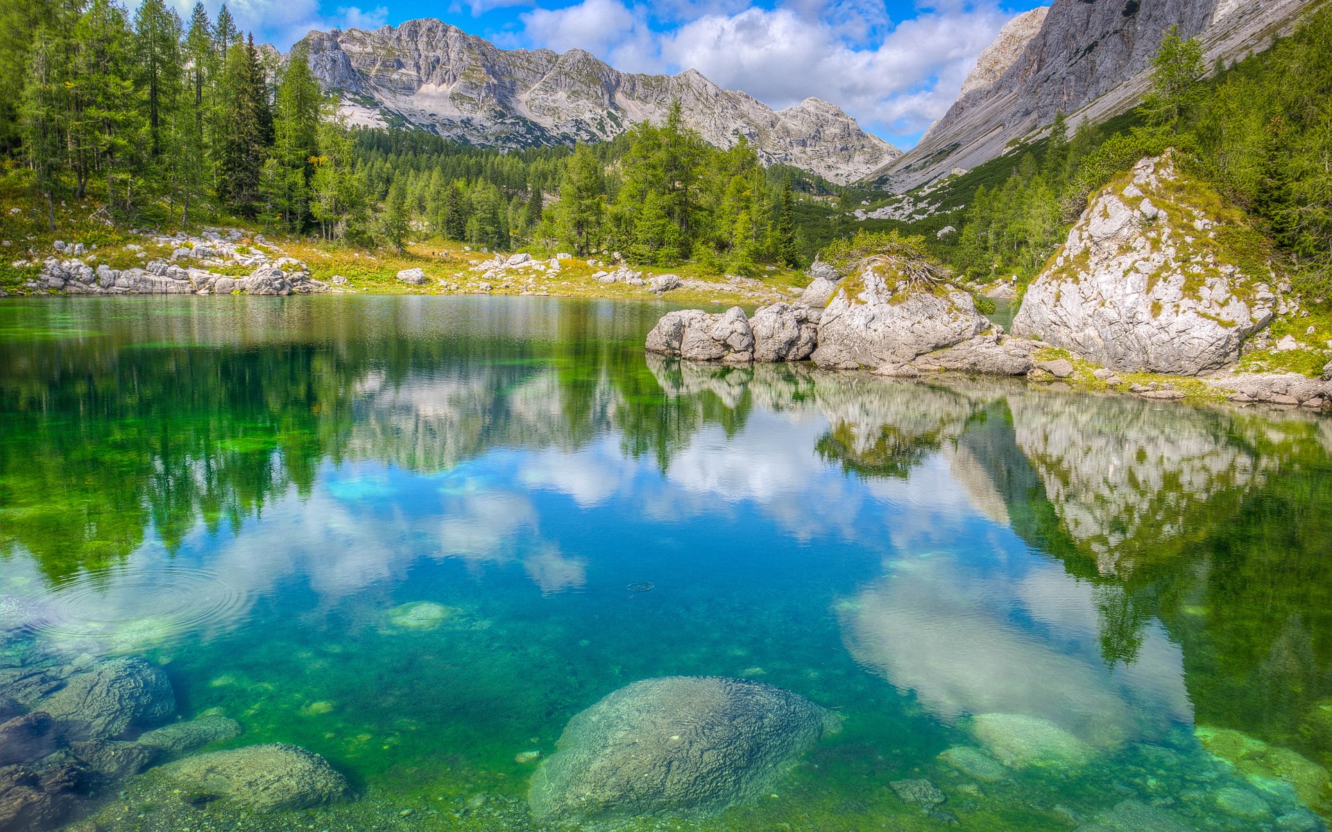 Clear mountain lake reflecting trees and sky HD Wallpaper
