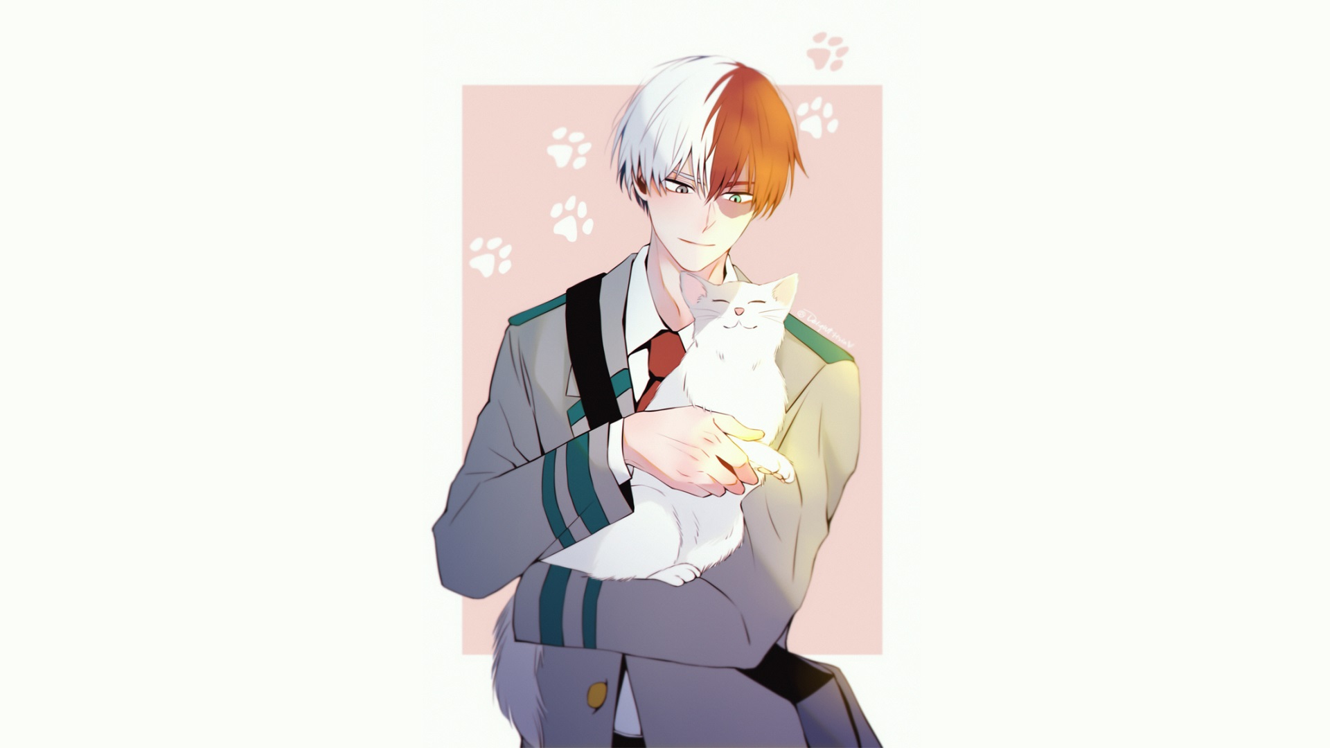 Shouto Todoroki from My Hero Academia holding a cat HD Wallpaper