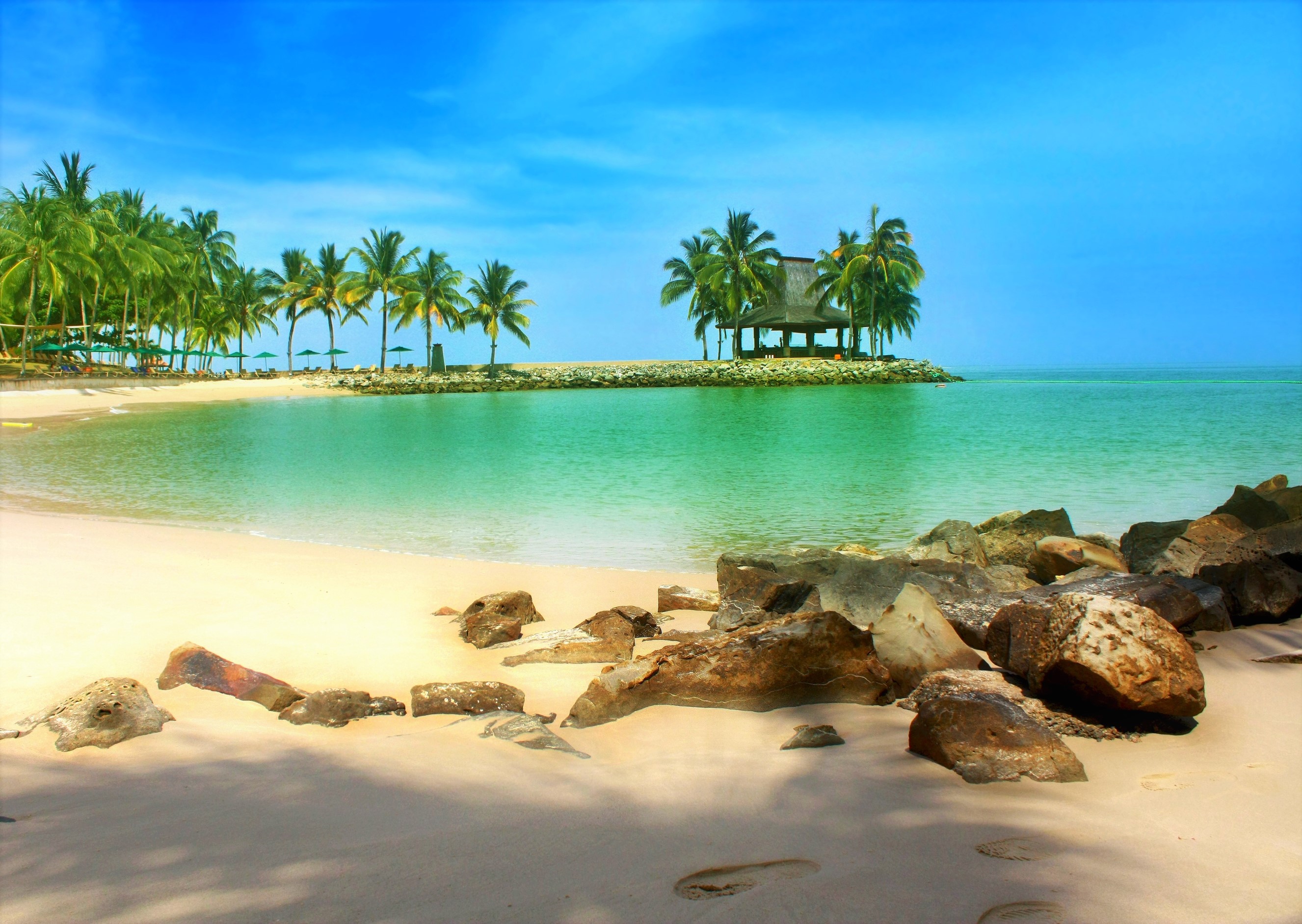 Tropical beach with palm trees and a gazebo on a small island HD Wallpaper