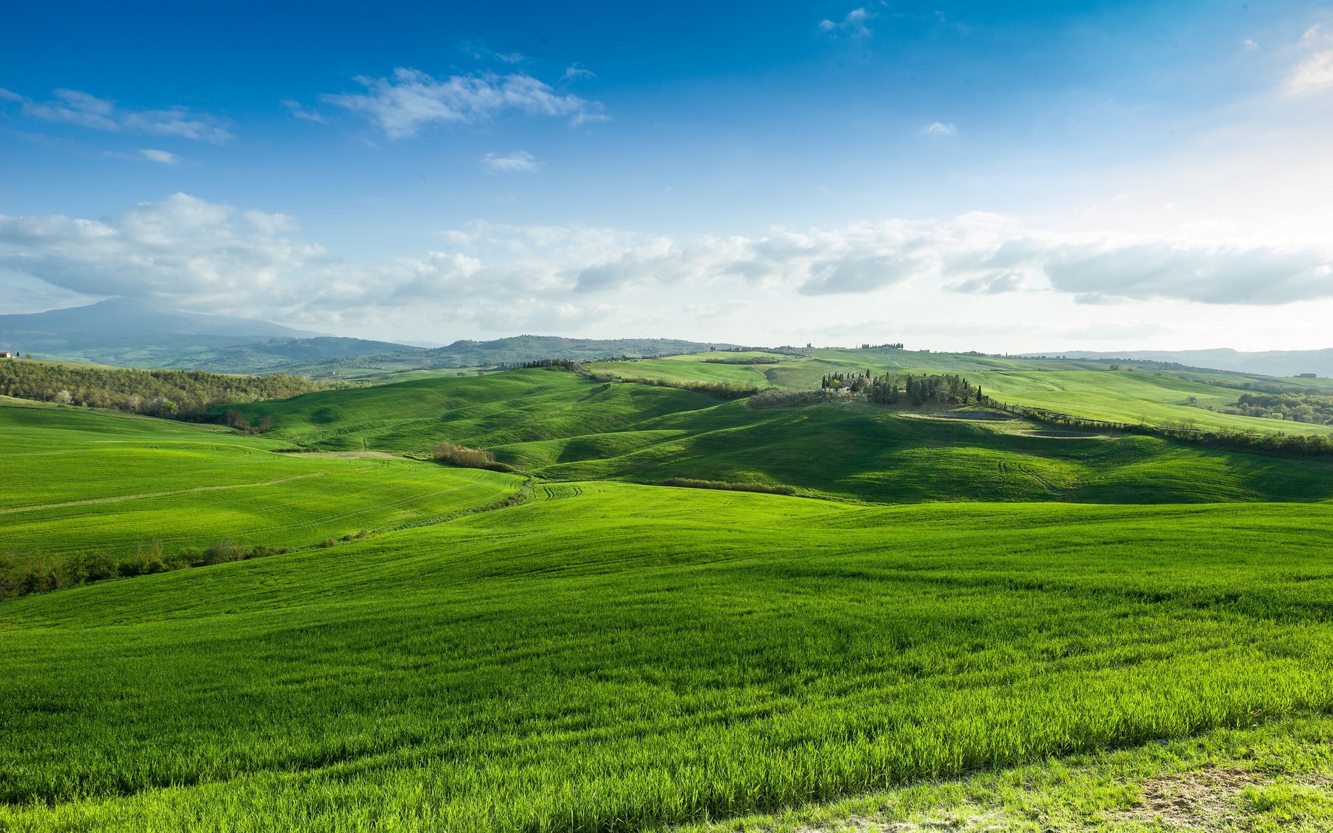Rolling green hills under a blue sky HD Wallpaper