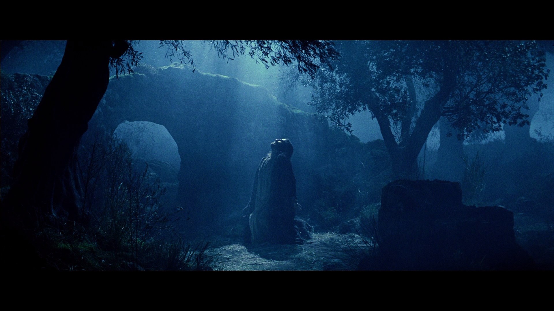 Jesus in a dark, misty forest HD Wallpaper