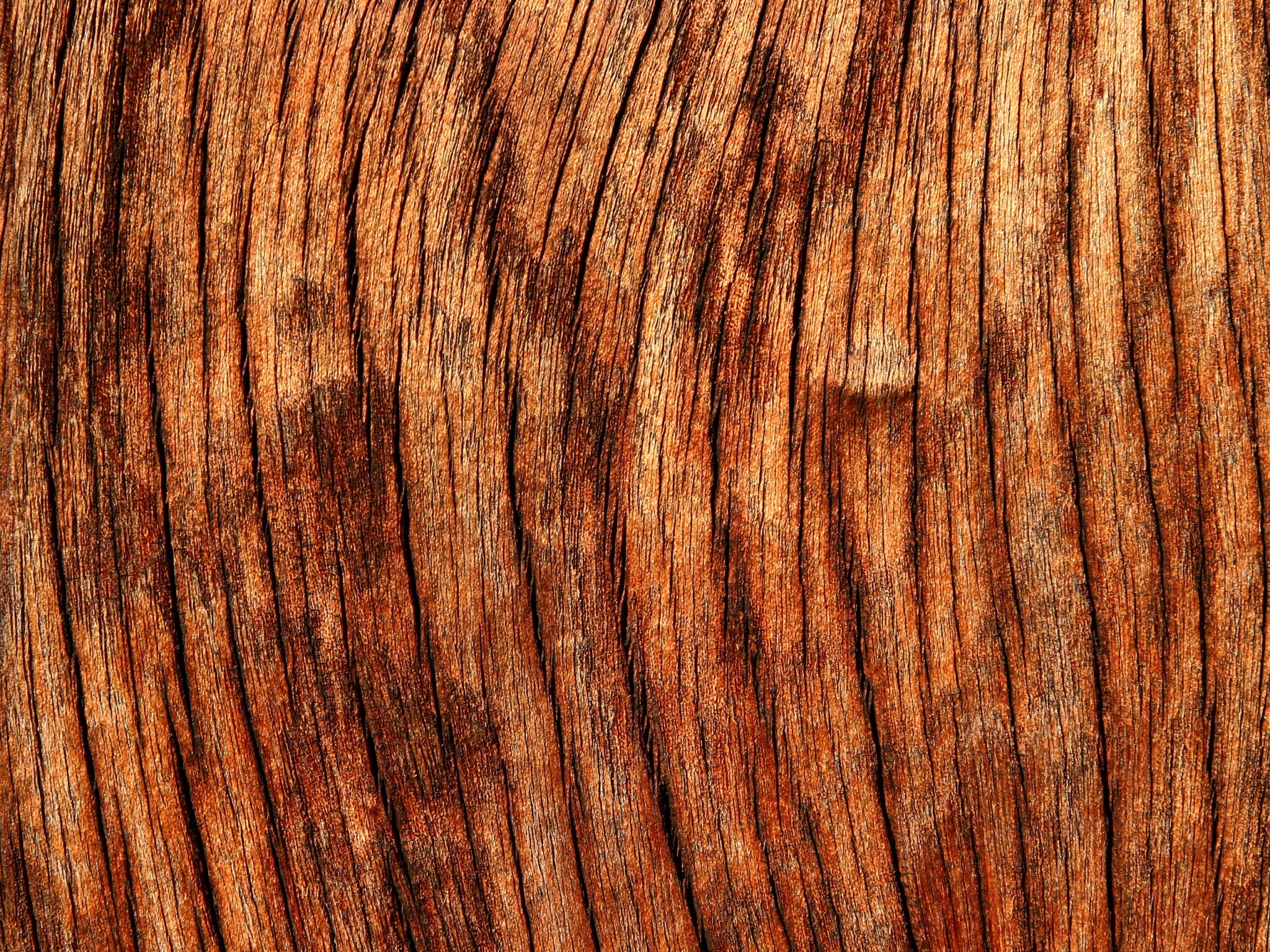 Close-up of weathered wood grain texture HD Wallpaper