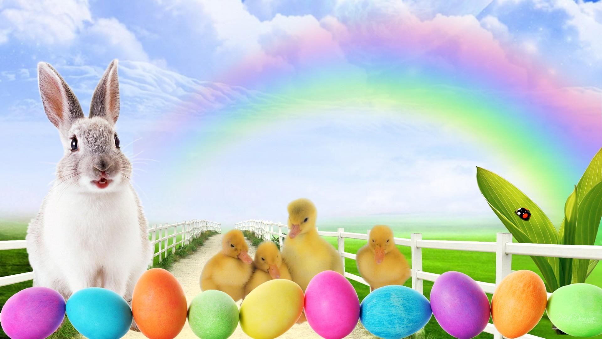 Easter bunny and ducklings with rainbow and eggs HD Wallpaper