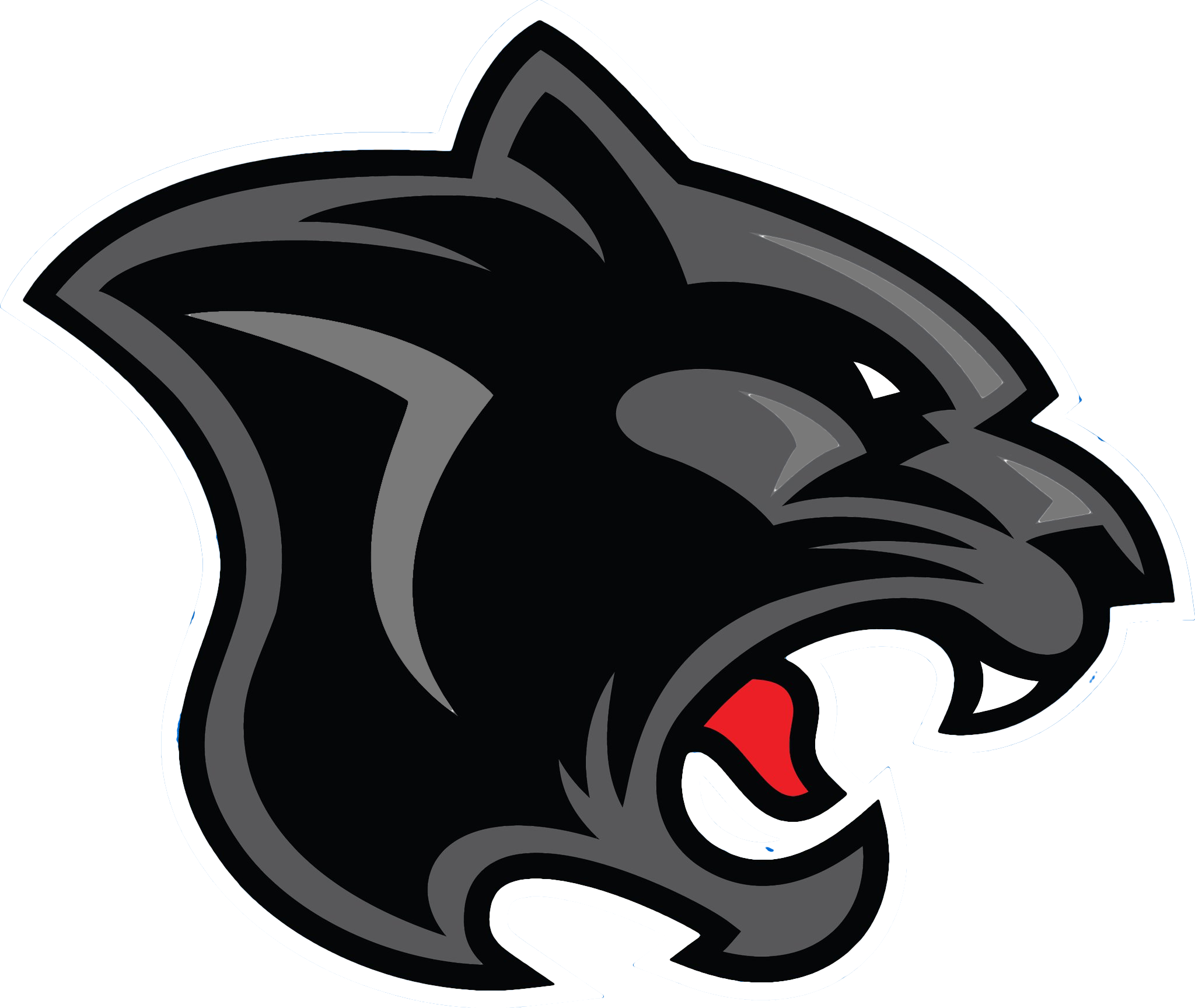 Carolina Panthers logo HD Wallpaper