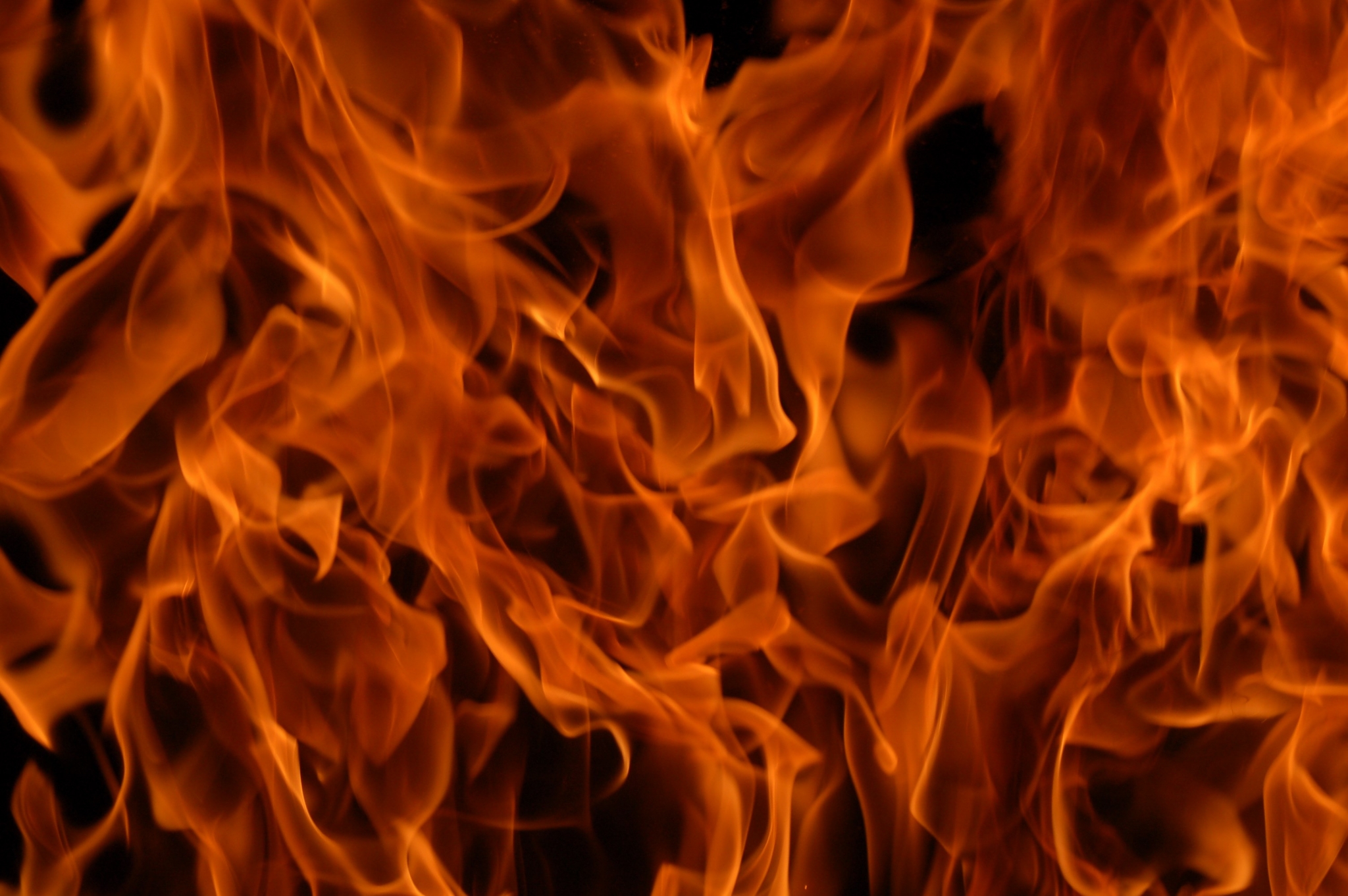 Close-up of orange flames HD Wallpaper