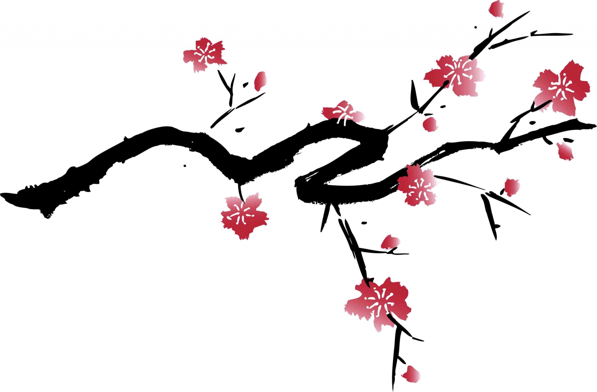 Cherry blossom branch HD Wallpaper