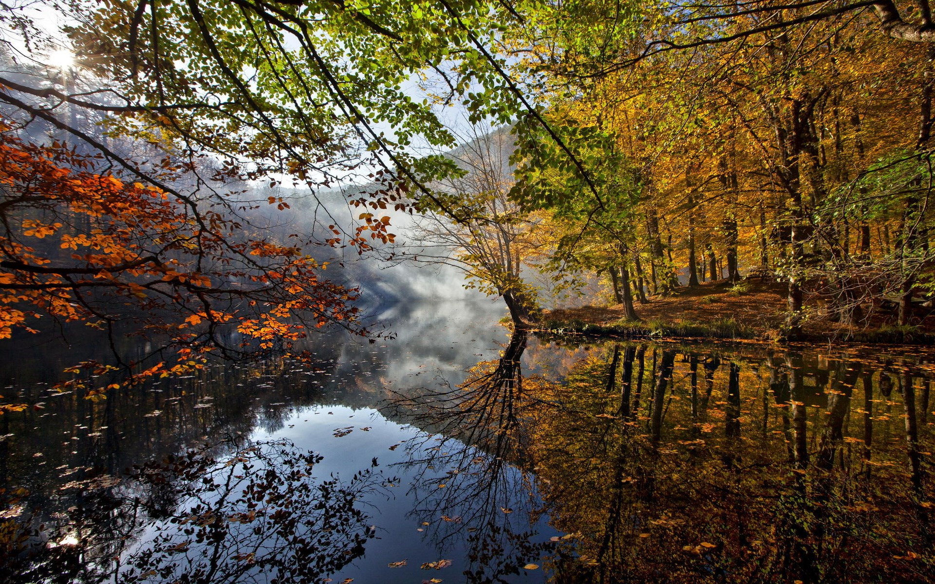 Autumn forest reflected in a misty lake HD Wallpaper
