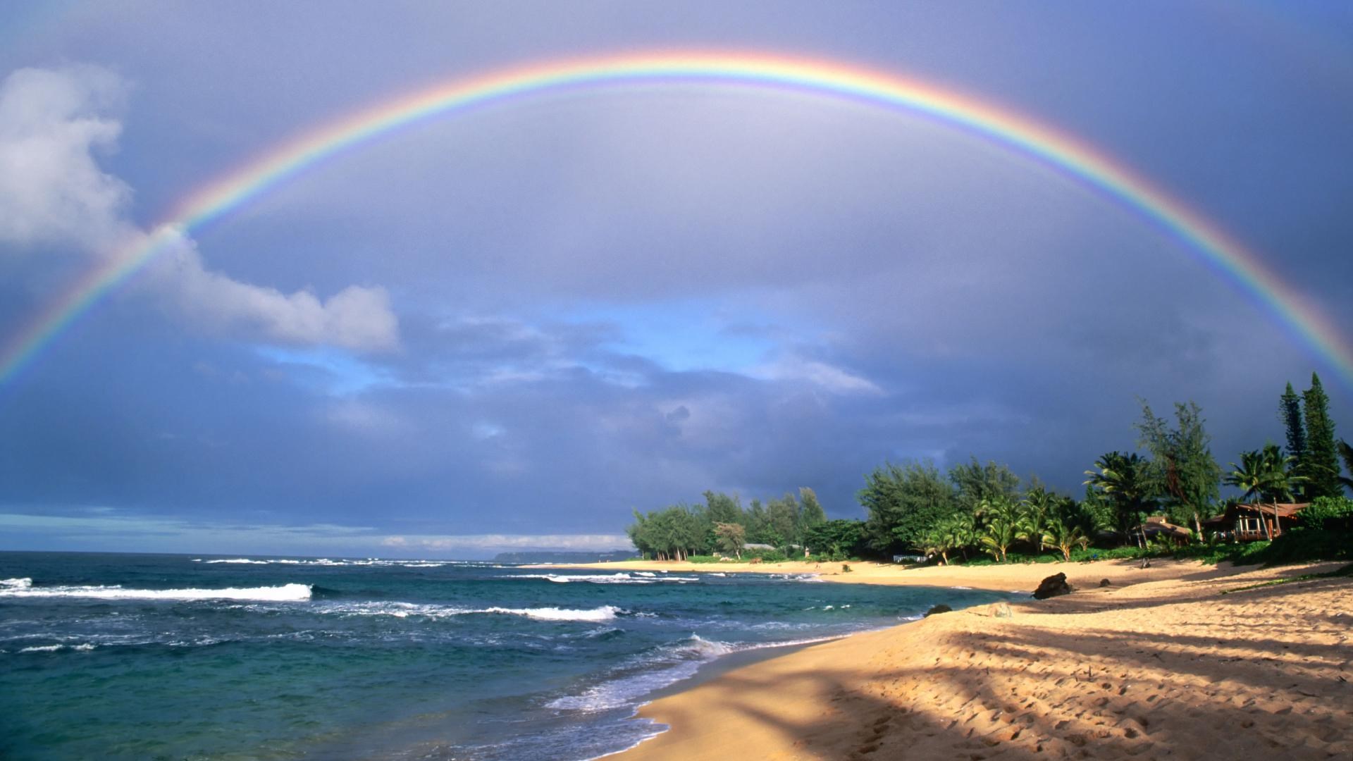 Rainbow over a Hawaiian beach with palm trees HD Wallpaper