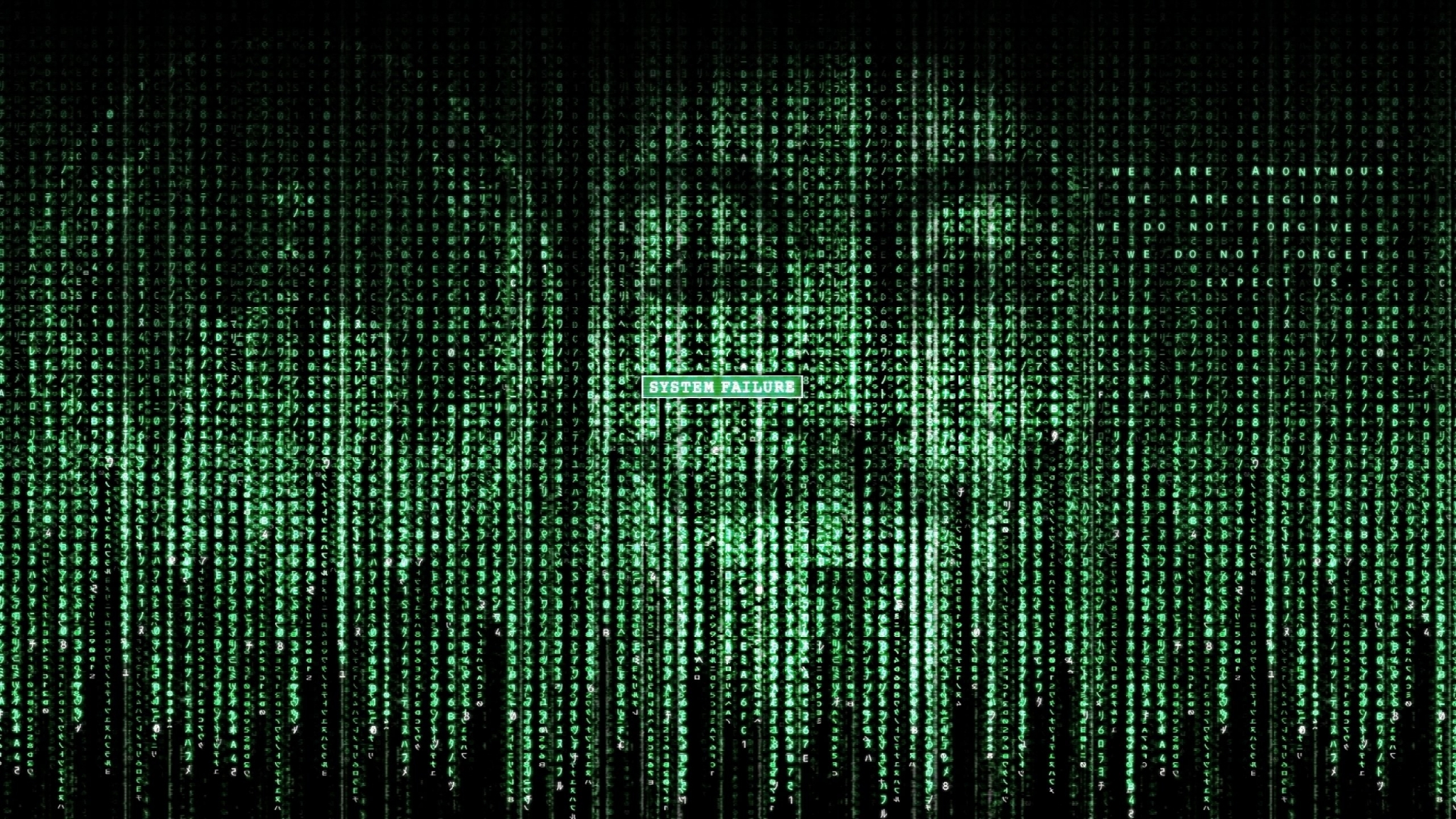 The Matrix digital rain with text HD Wallpaper