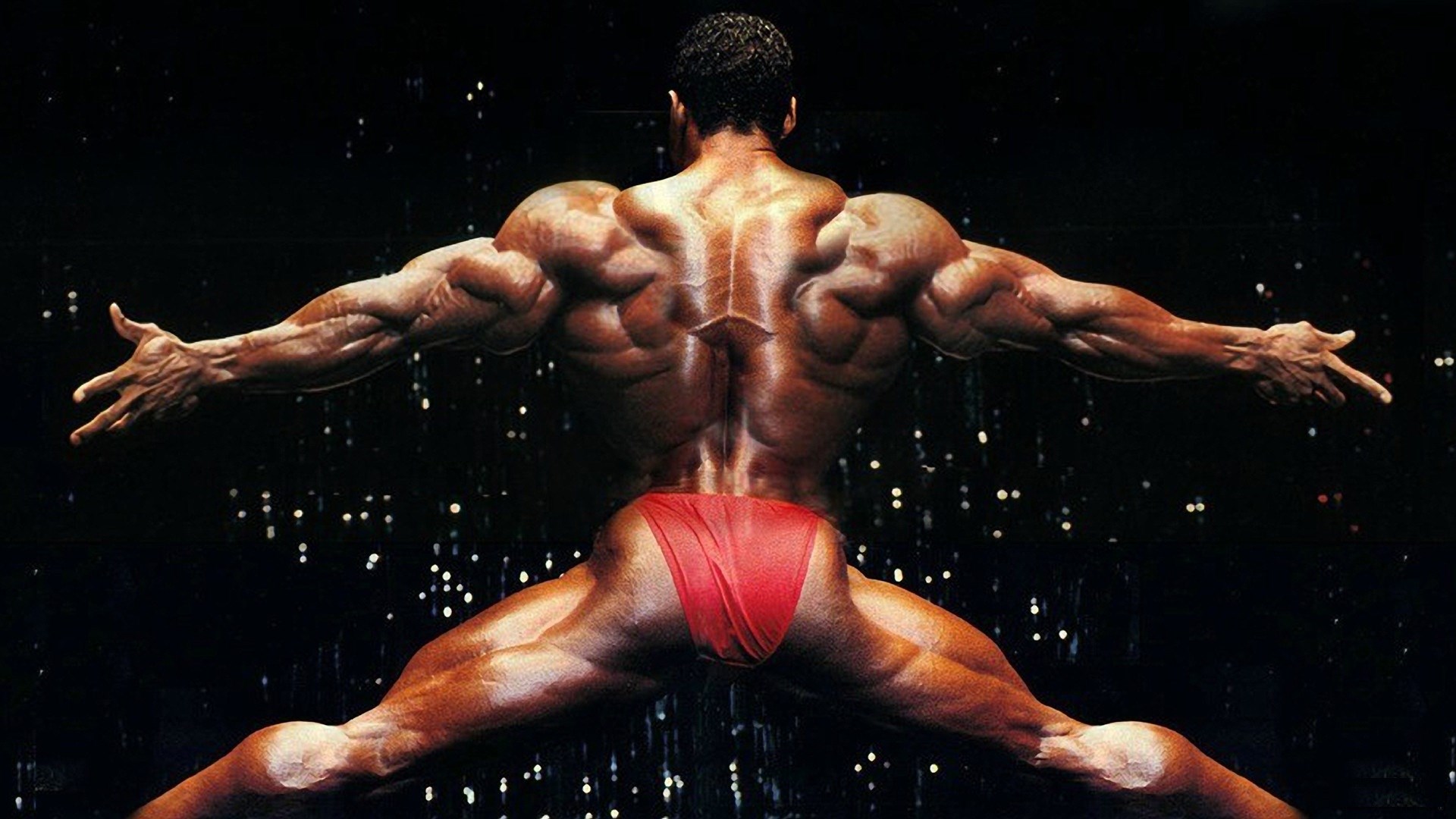 Bodybuilder showing back muscles HD Wallpaper