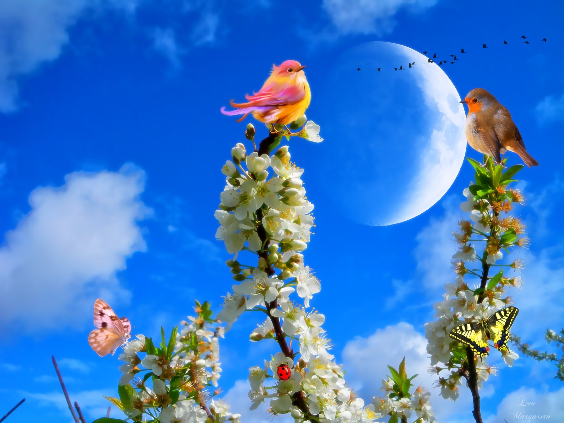 Spring scene with birds, butterflies, and cherry blossoms HD Wallpaper