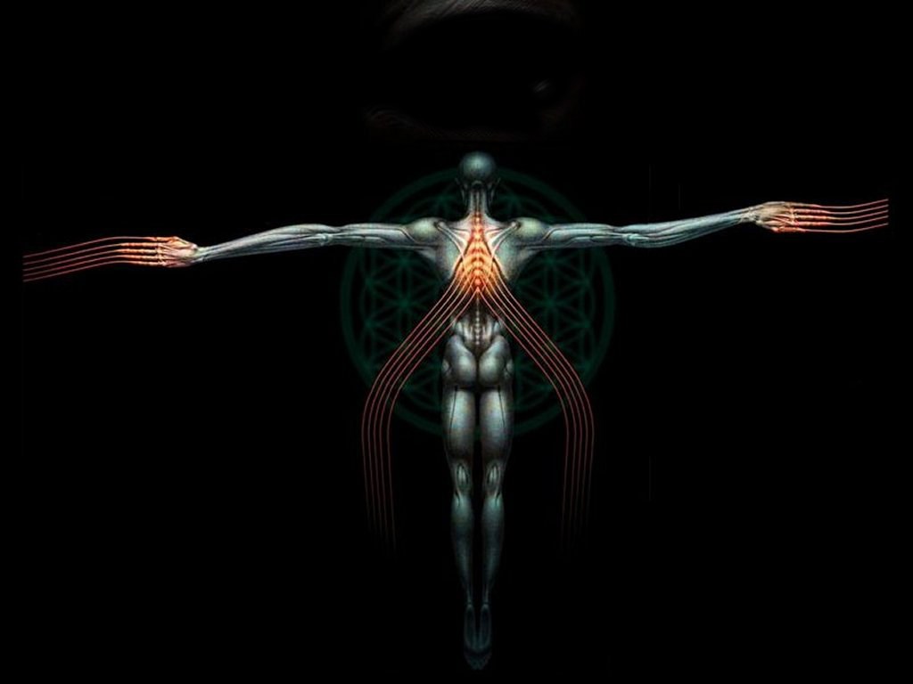 Anatomical Figure with Sacred Geometry HD Wallpaper