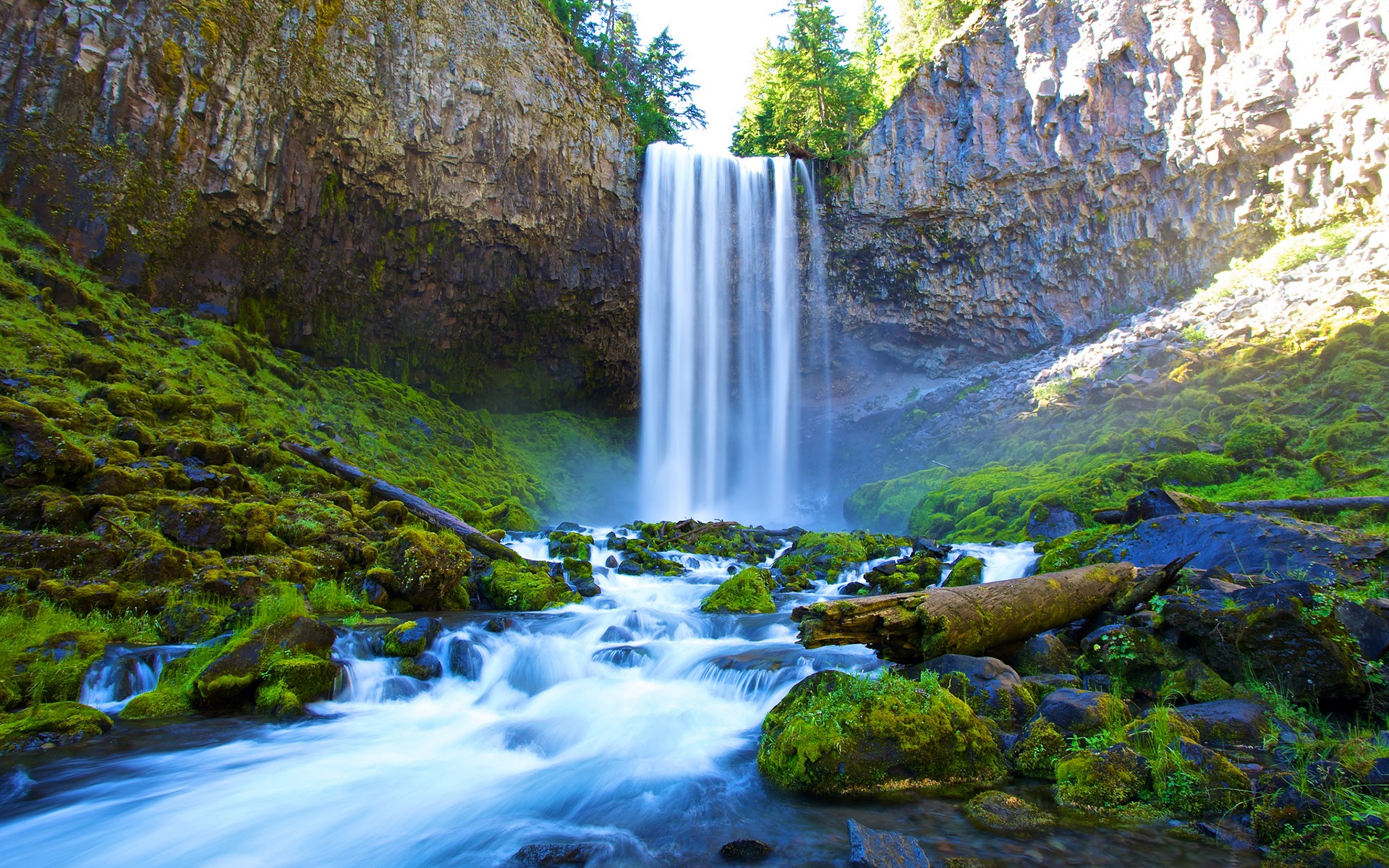 Waterfall cascading over mossy rocks in a forest HD Wallpaper