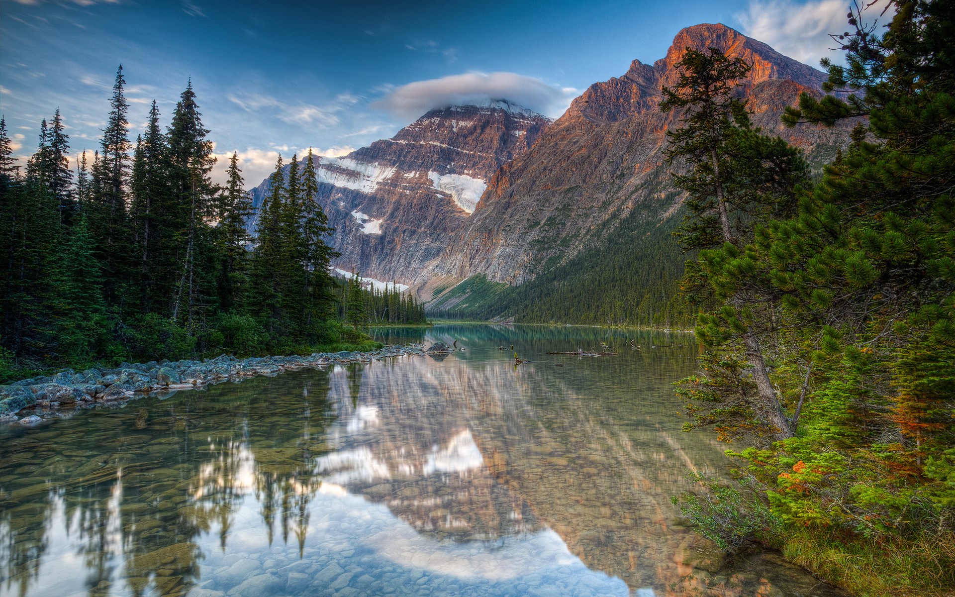 Mountain Lake Reflection with Pine Trees HD Wallpaper