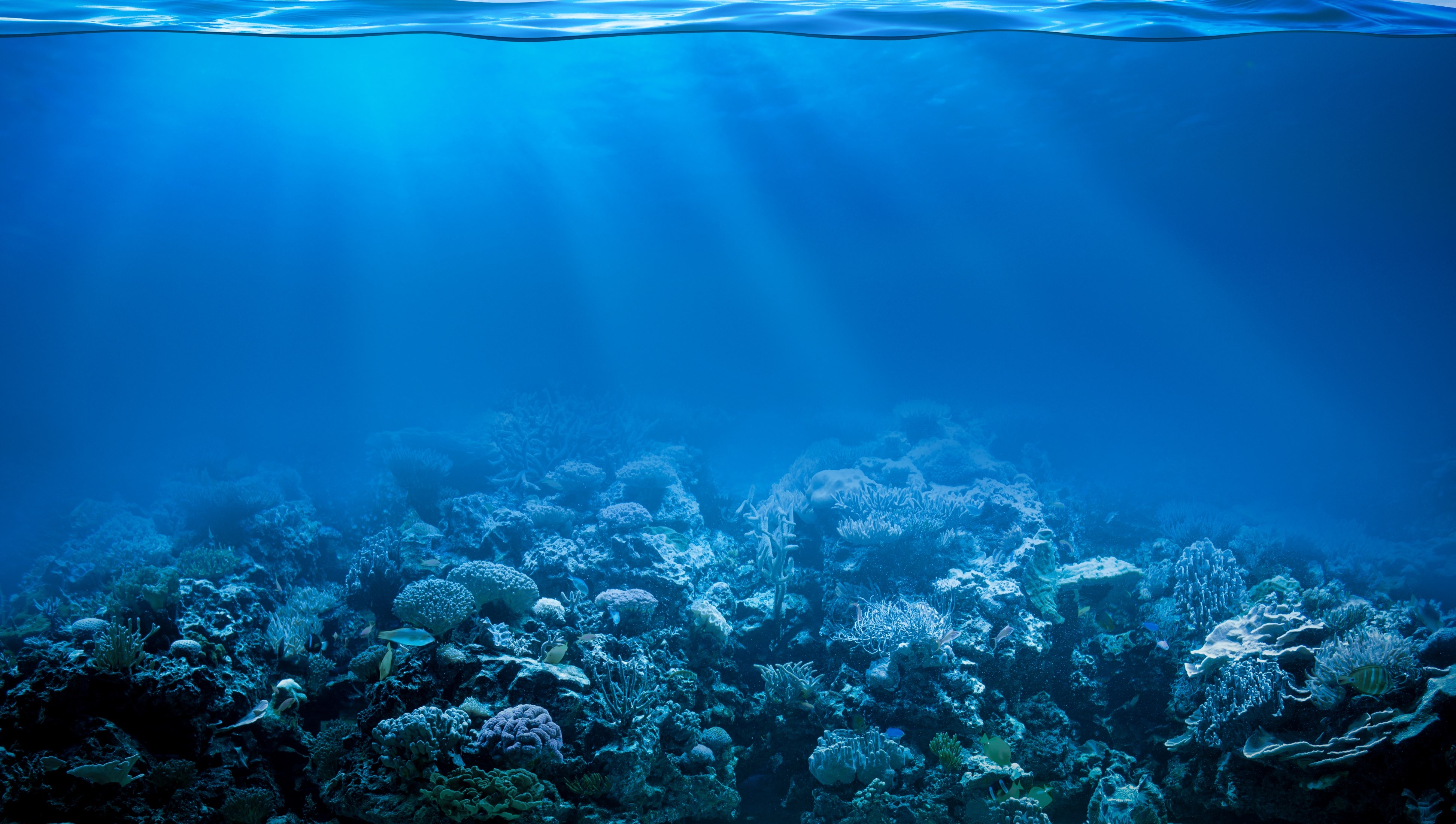 Underwater coral reef with sun rays HD Wallpaper