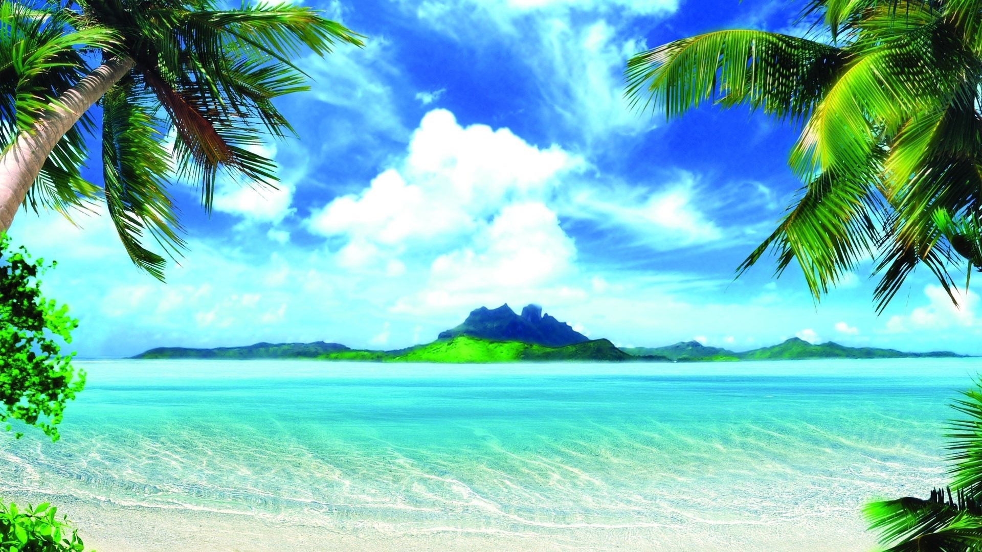 Tropical island with palm trees and ocean HD Wallpaper