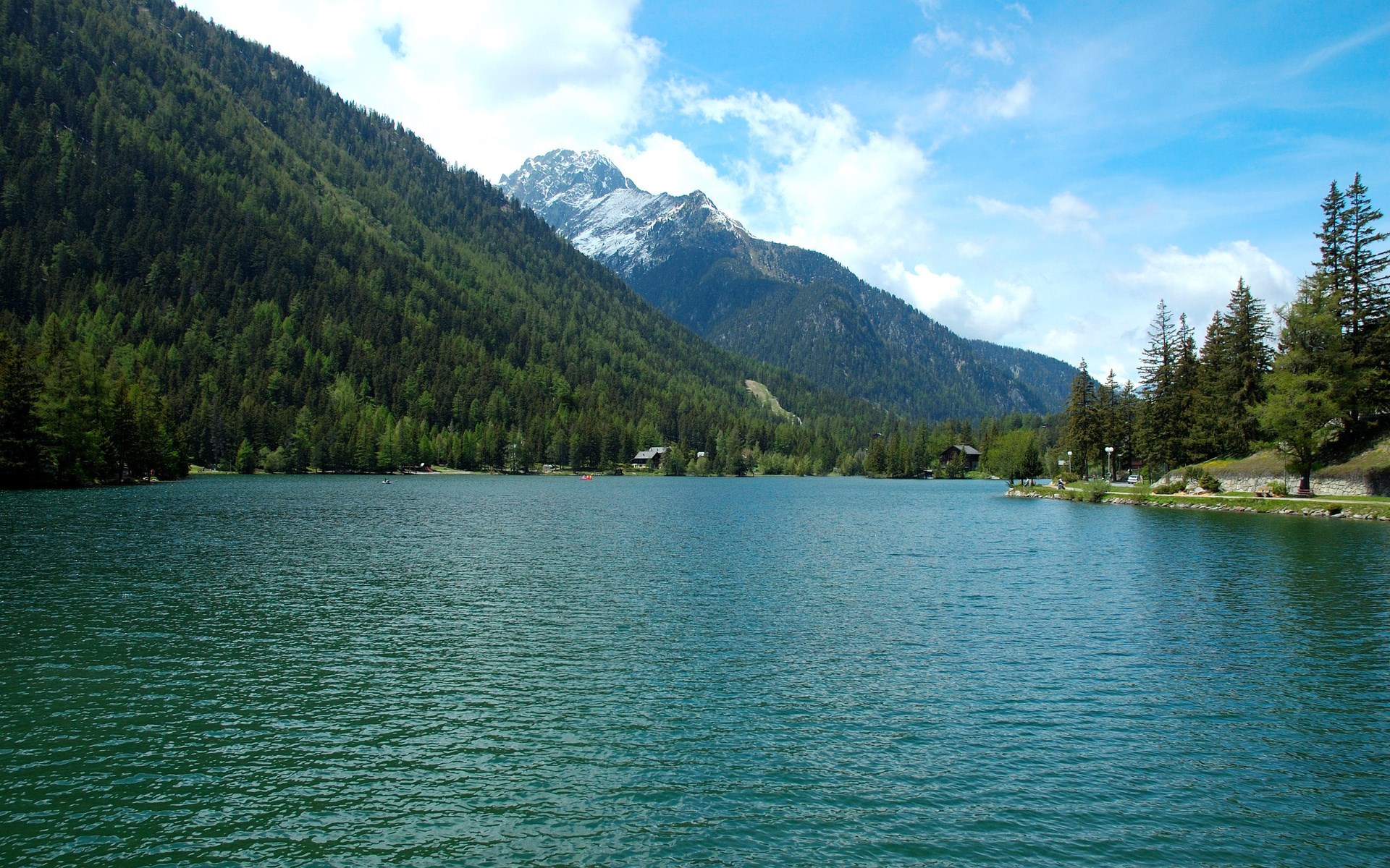 Lake surrounded by pine forest and mountains HD Wallpaper