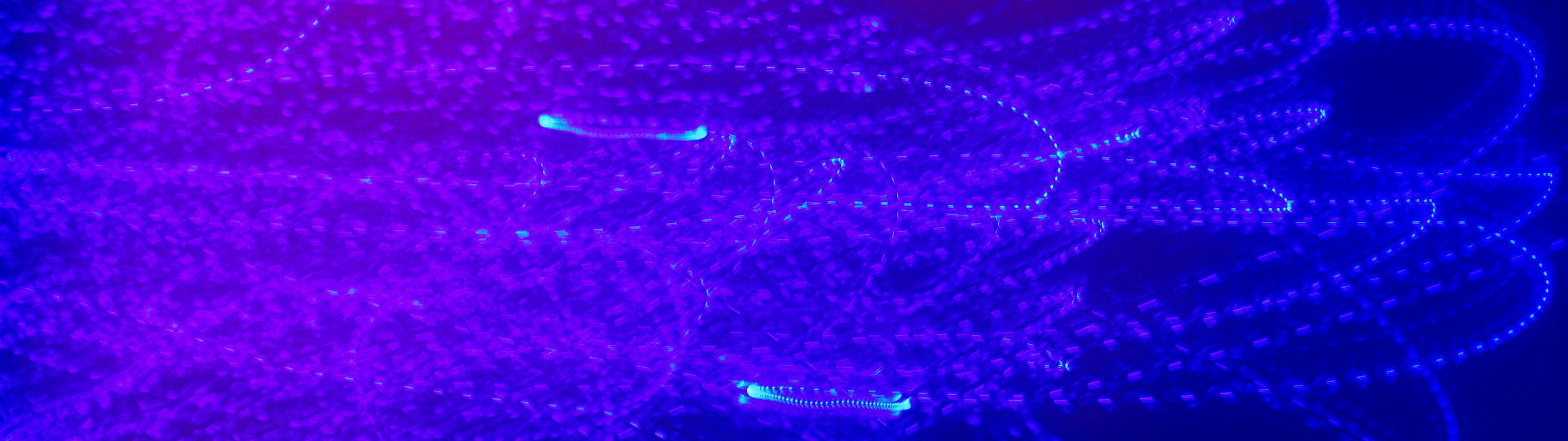 Abstract blue and purple light trails HD Wallpaper