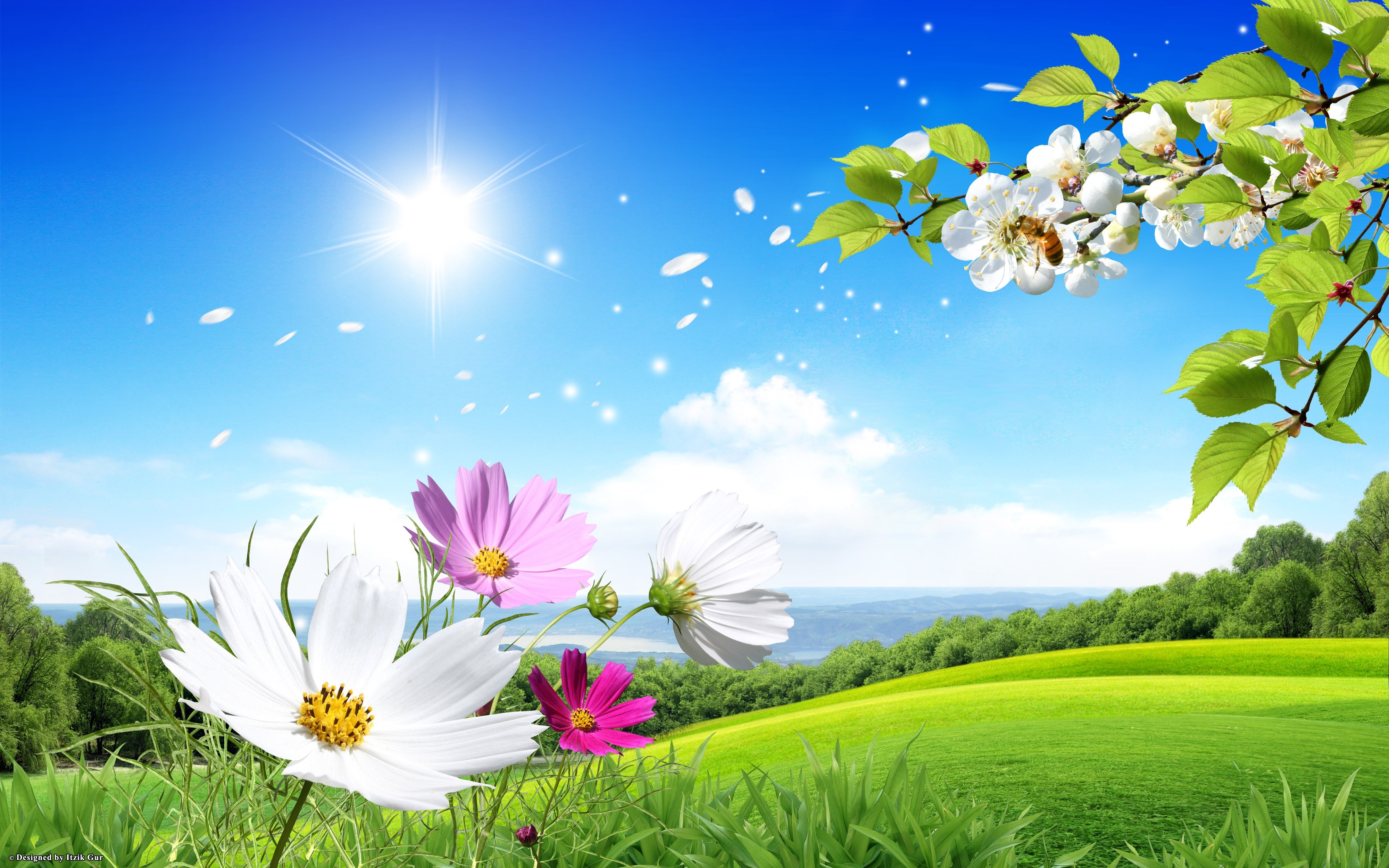 Spring meadow with flowers and sun HD Wallpaper