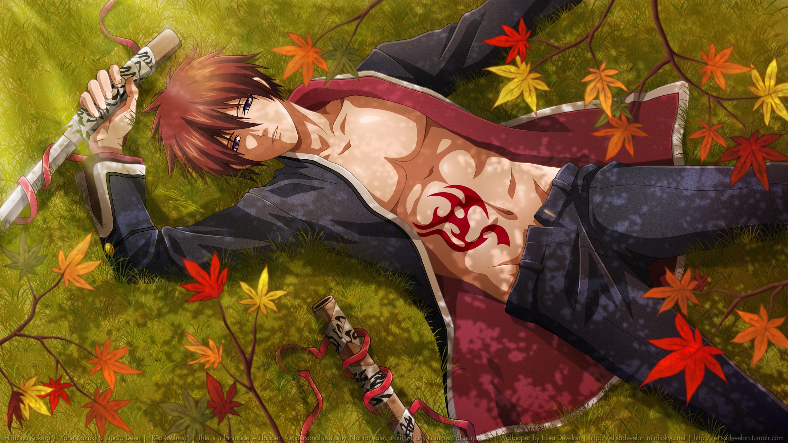Hiiro no Kakera character lying on grass with swords HD Wallpaper