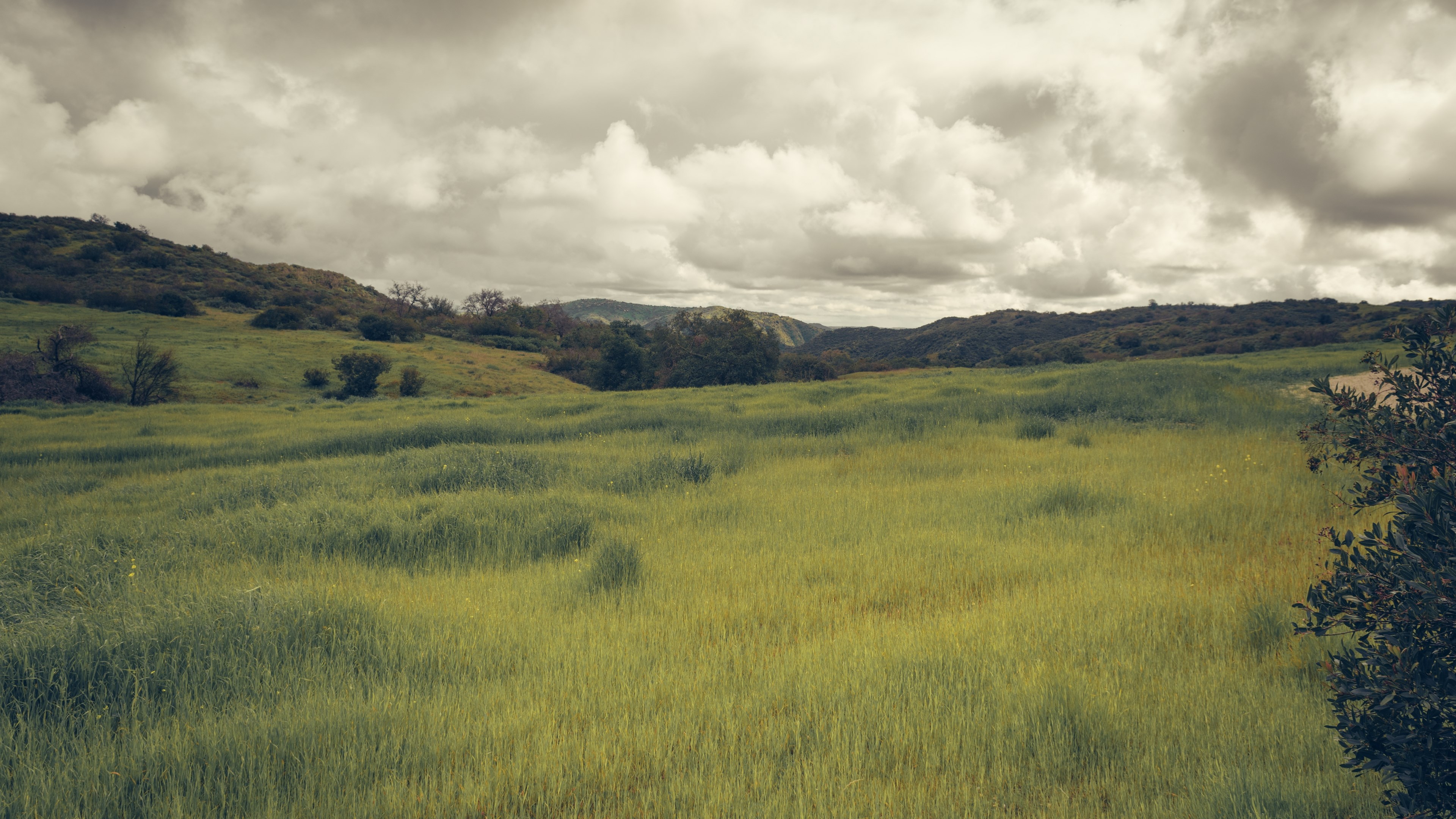4K screensaver of rolling green hills under a cloudy sky HD Wallpaper