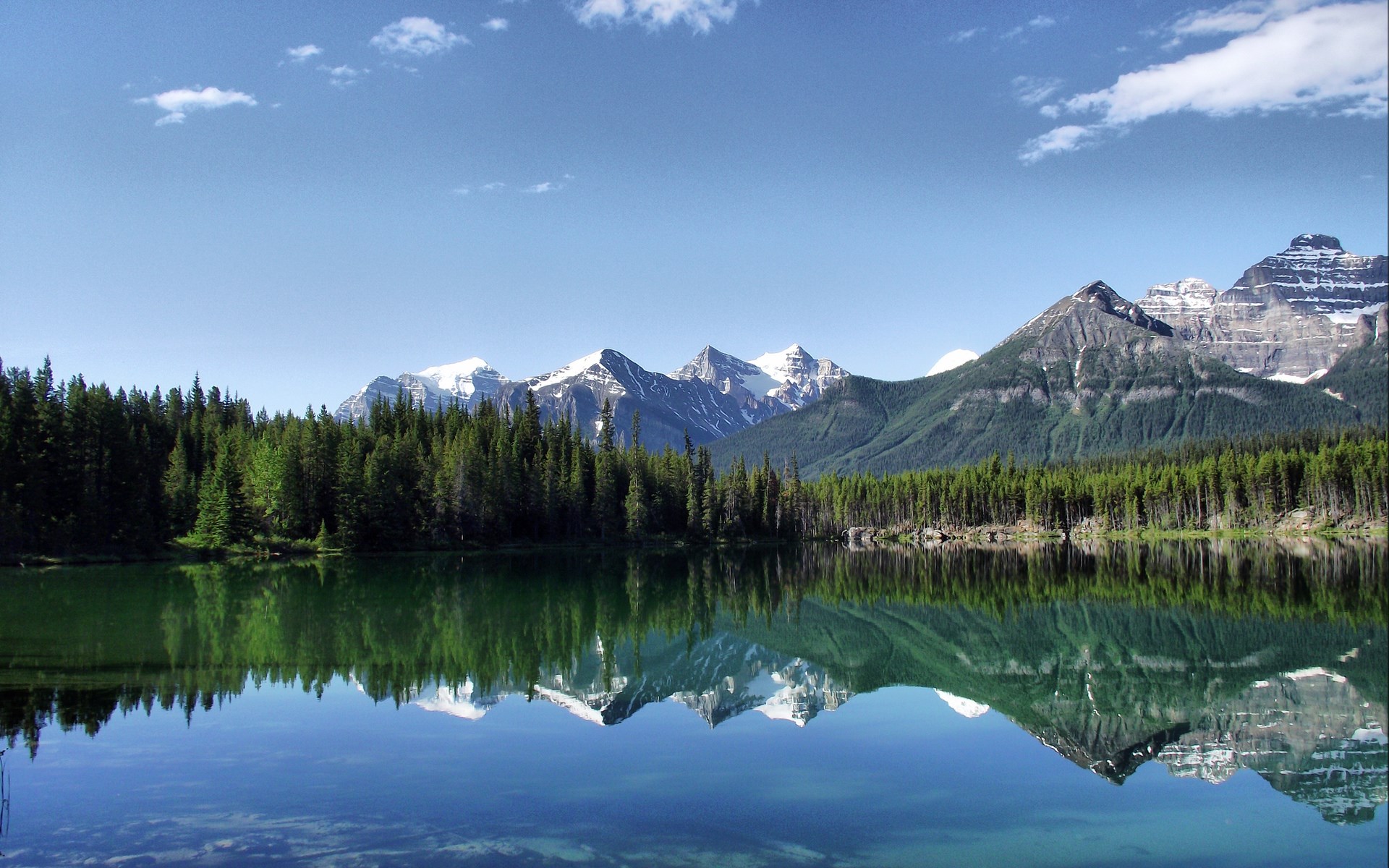 Lake reflection of mountains and pine forest HD Wallpaper