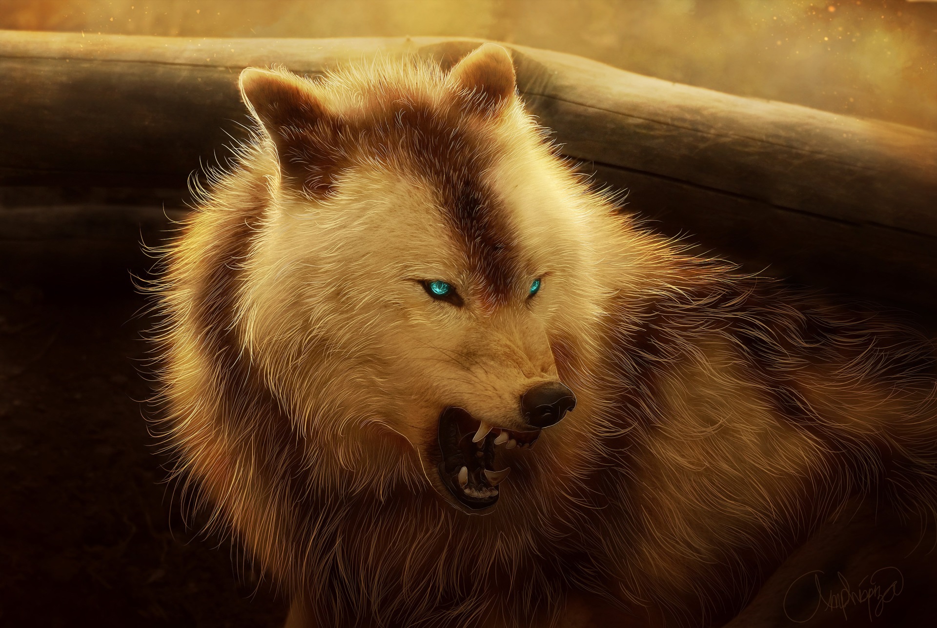 Aggressive wolf with glowing blue eyes HD Wallpaper