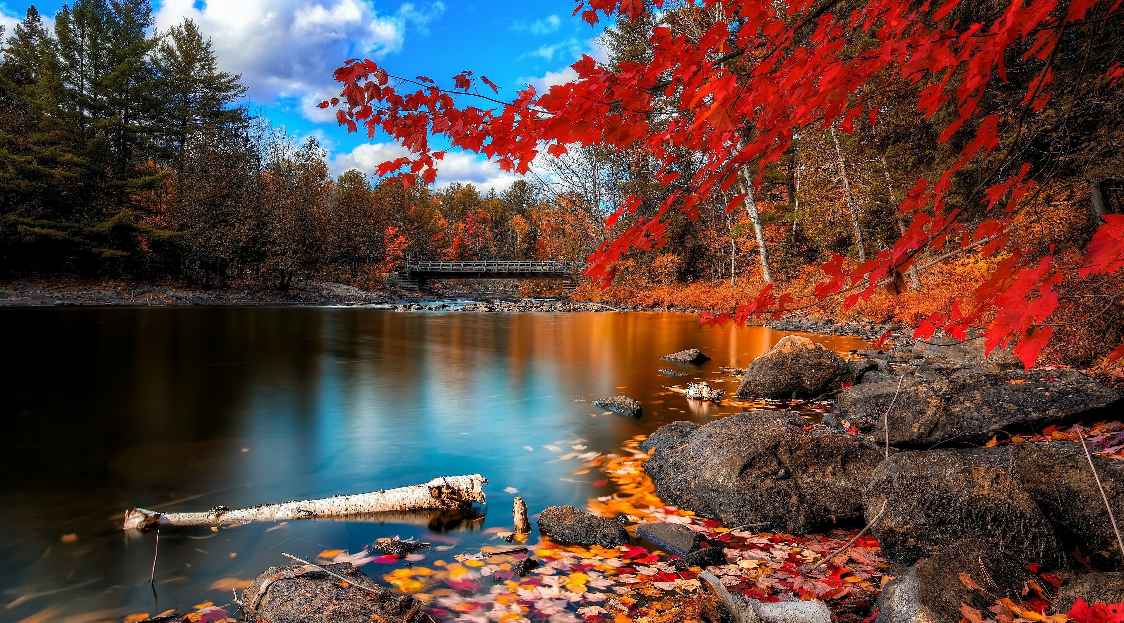Autumn river with red leaves and bridge HD Wallpaper