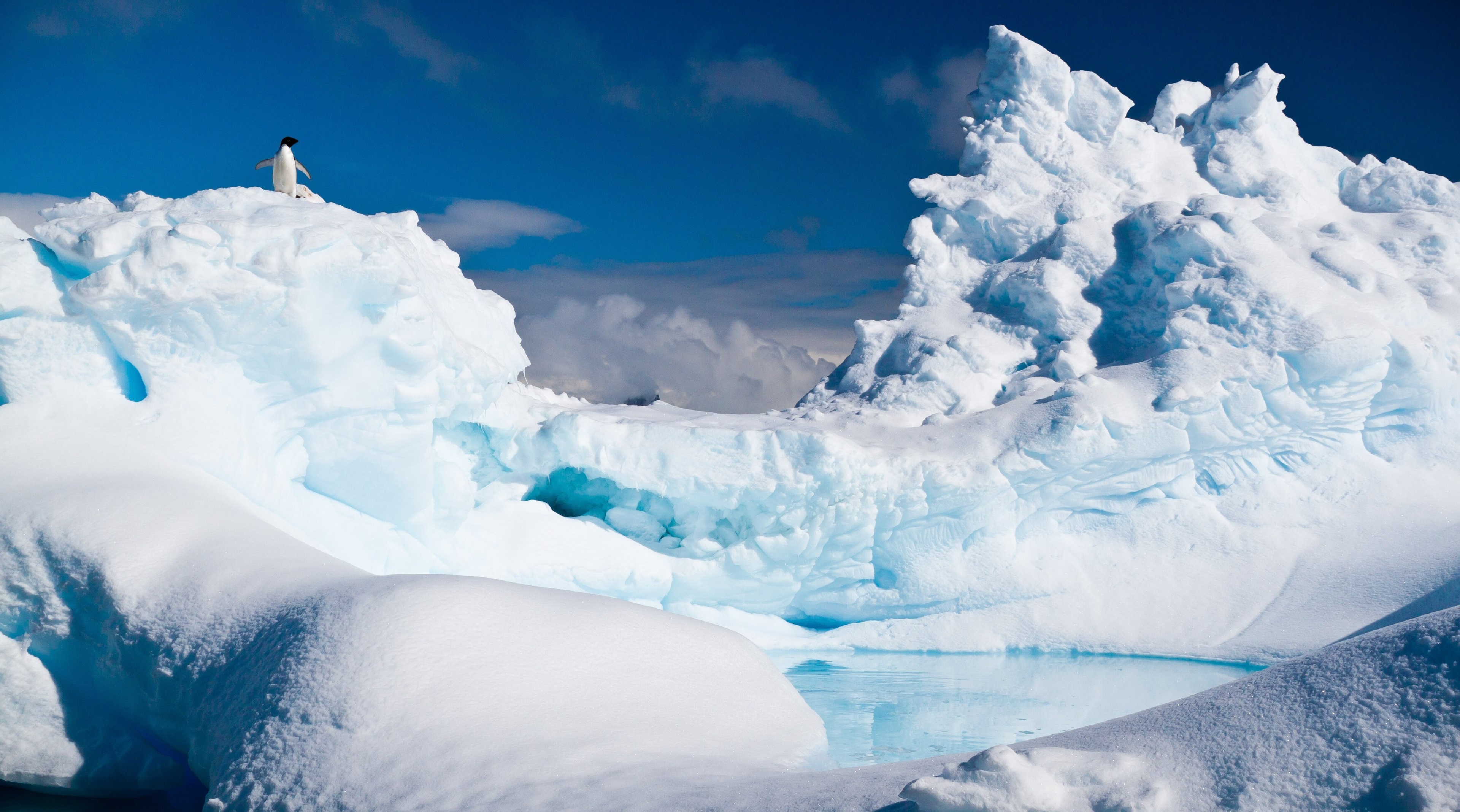 Penguin on an iceberg in Antarctica 4K HD Wallpaper
